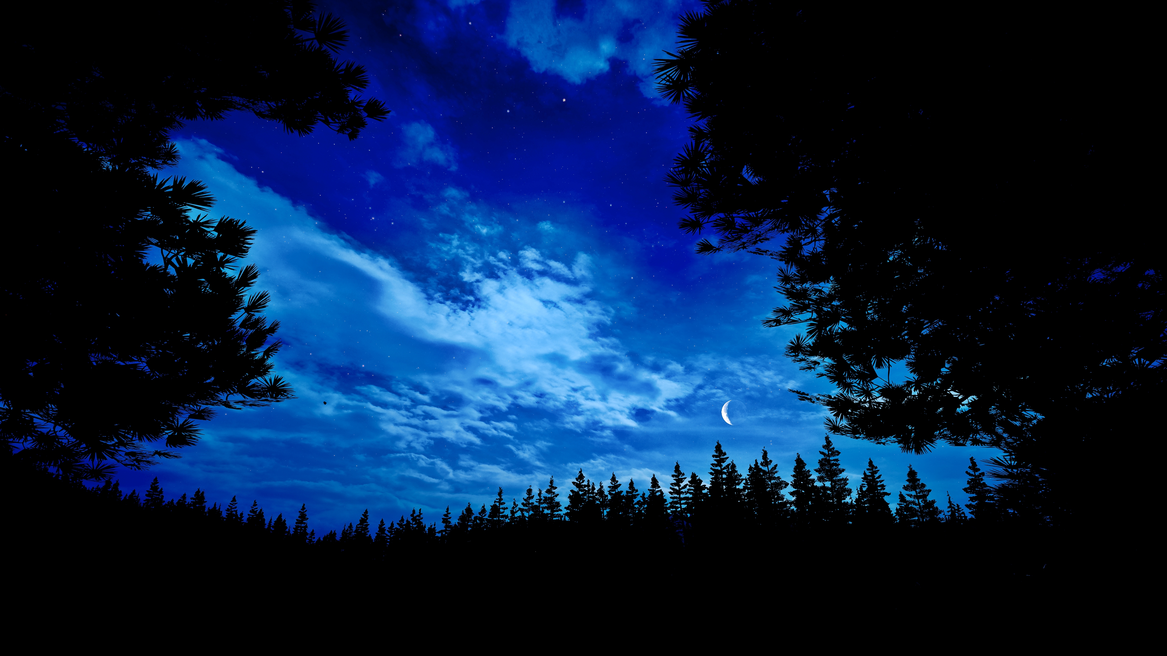 General 3840x2160 Far Cry 5 night full moon forest PC gaming
