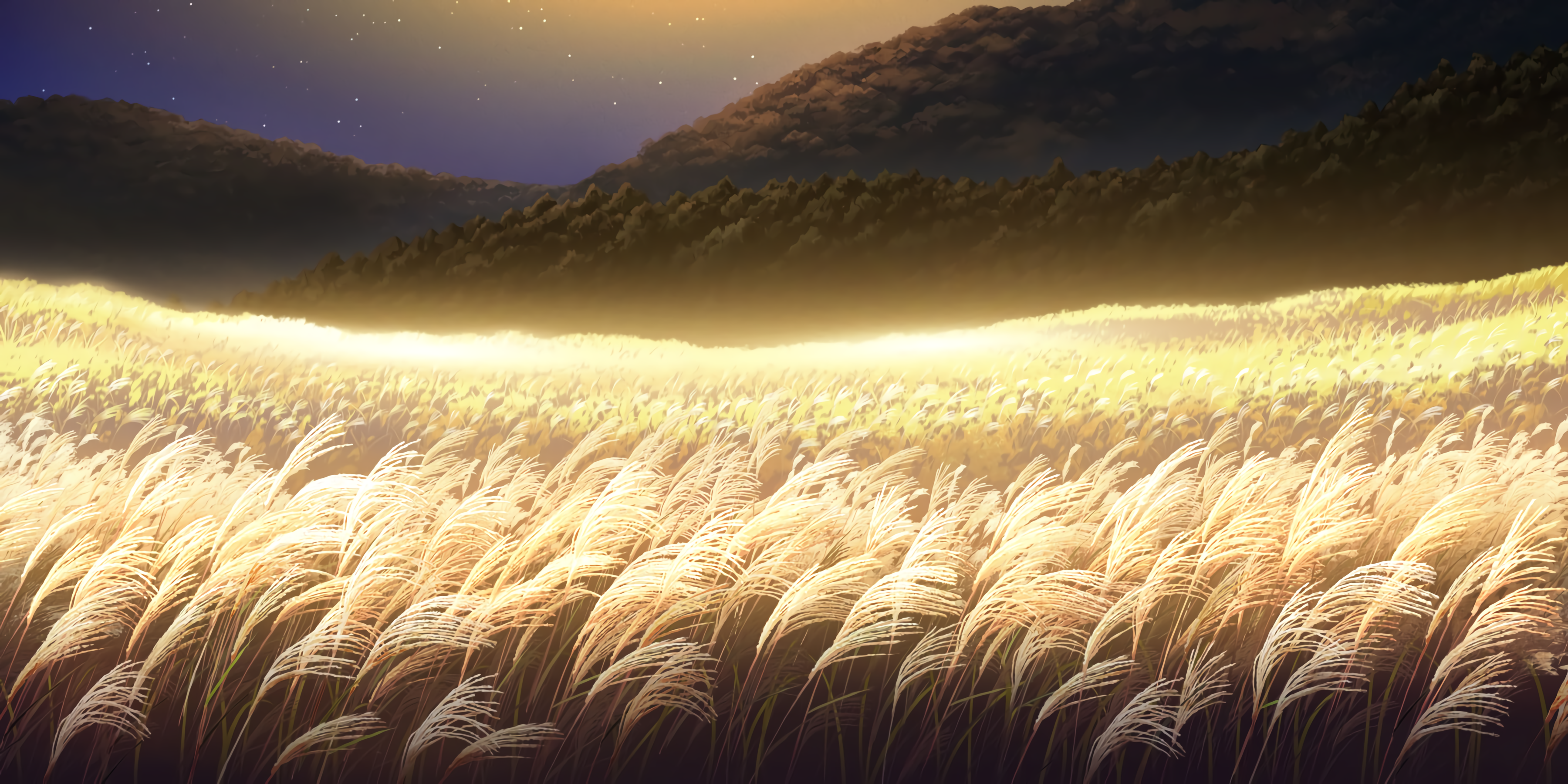 Anime 3600x1800 landscape Love Live! anime field plants