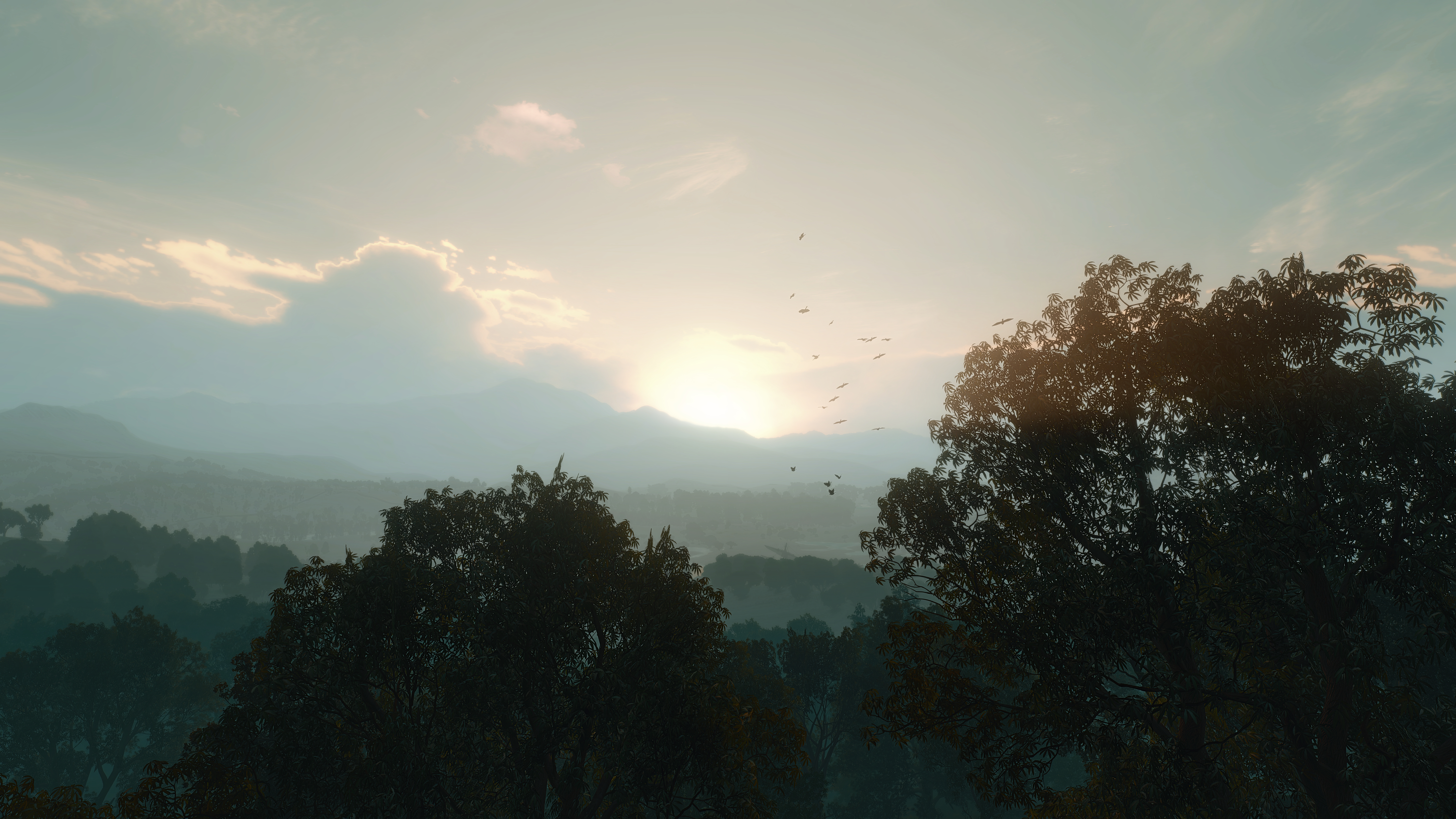 General 9600x5400 The Witcher 3: Wild Hunt trees