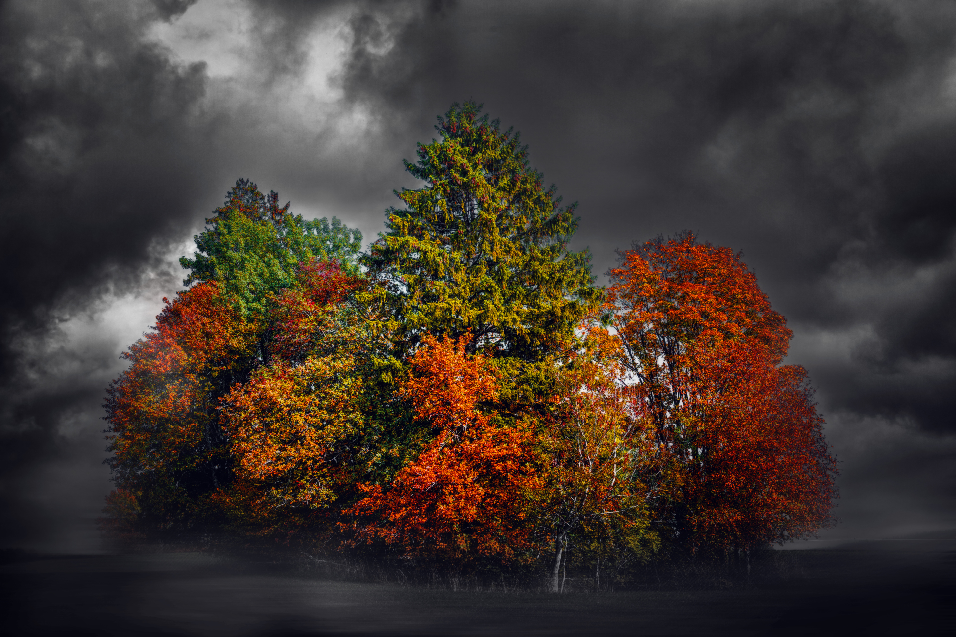 General 1920x1280 fall colorful dark sky trees clouds