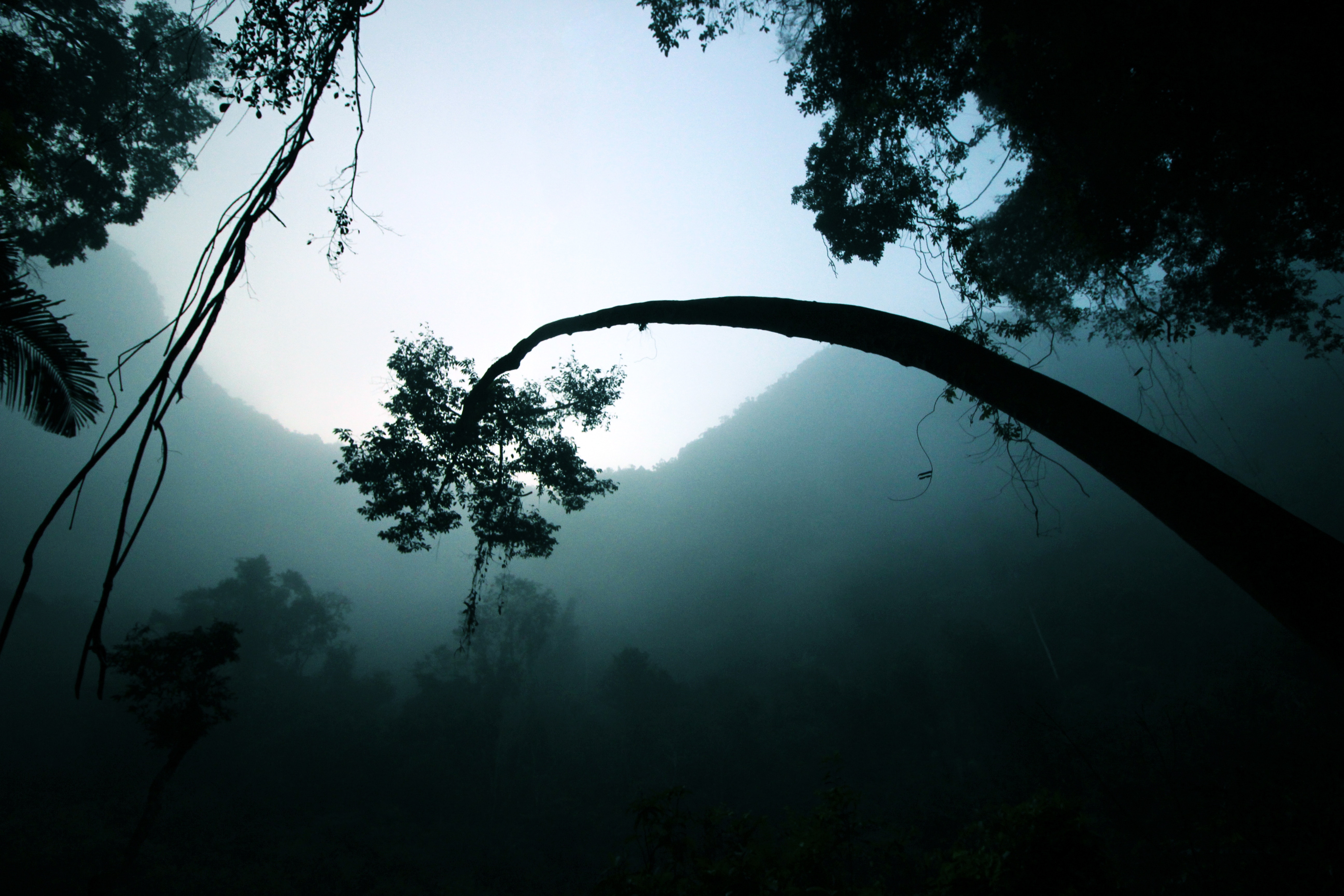 General 5184x3456 trees mist dark mountains forest jungle vines low light