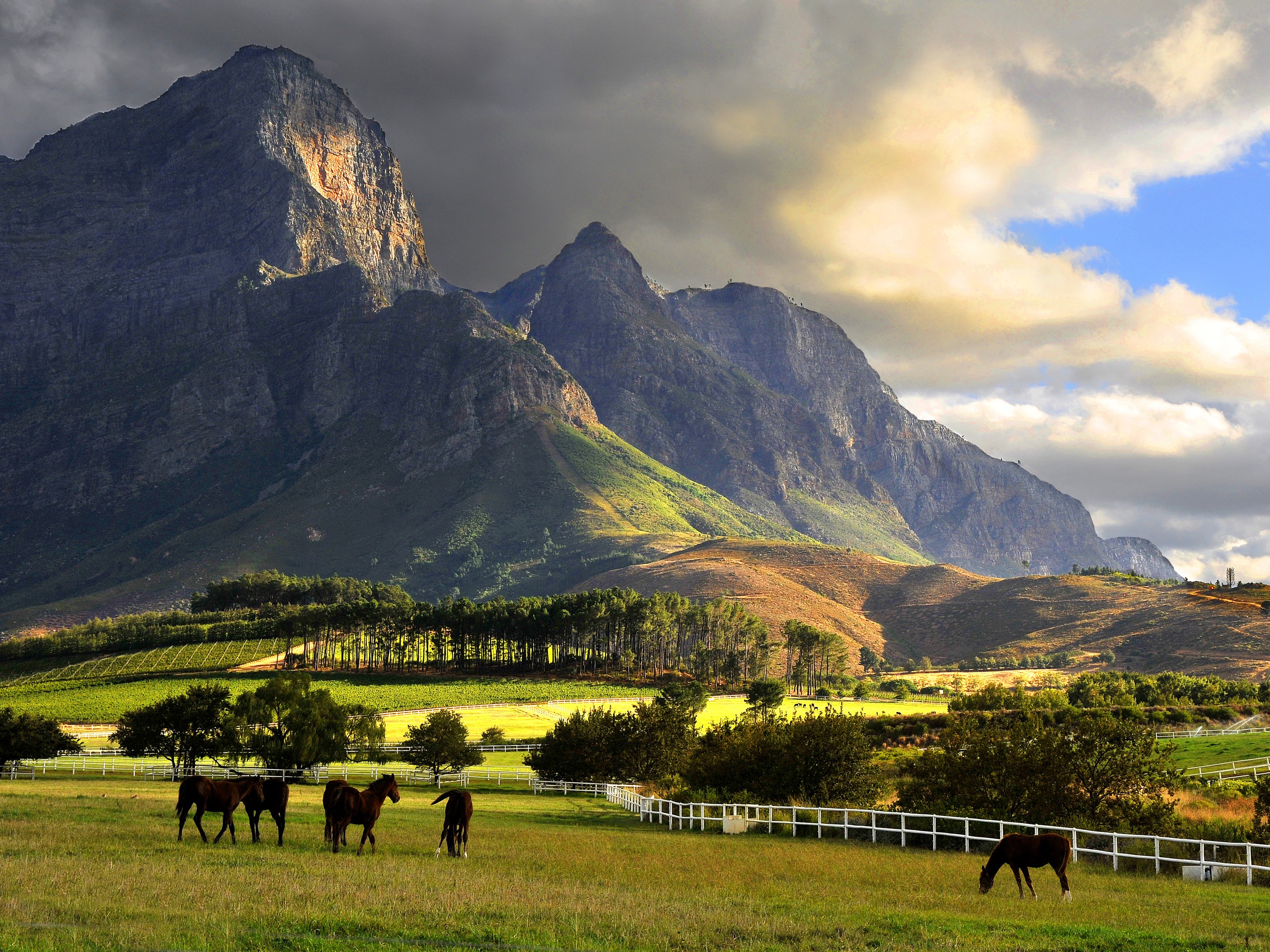General 2835x2126 mountains South Africa farm clouds horse landscape vineyard