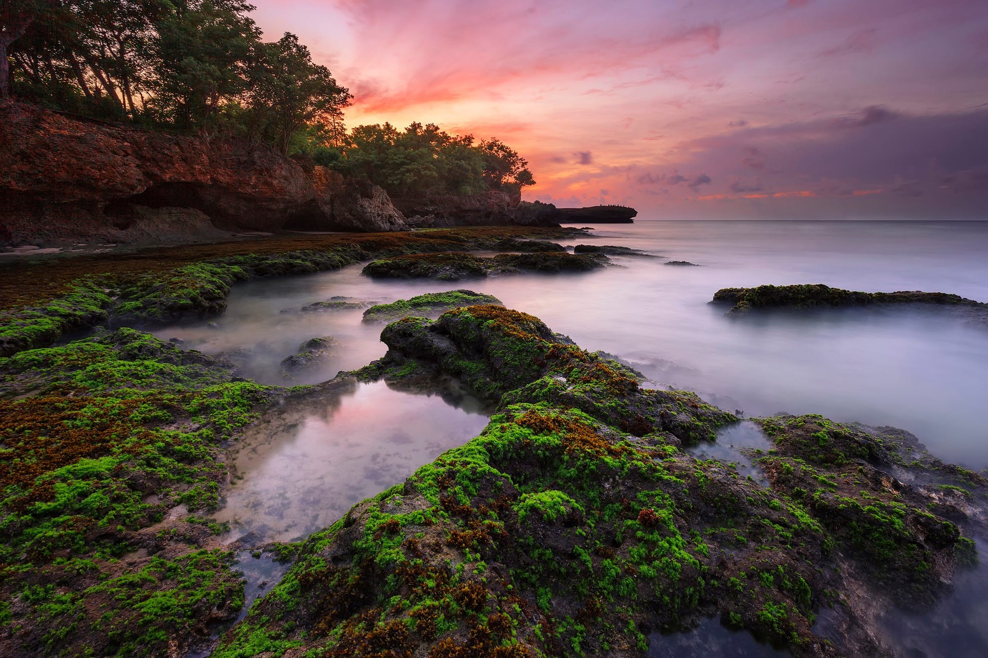 General 2000x1333 nature landscape long exposure trees water moss clouds sunset