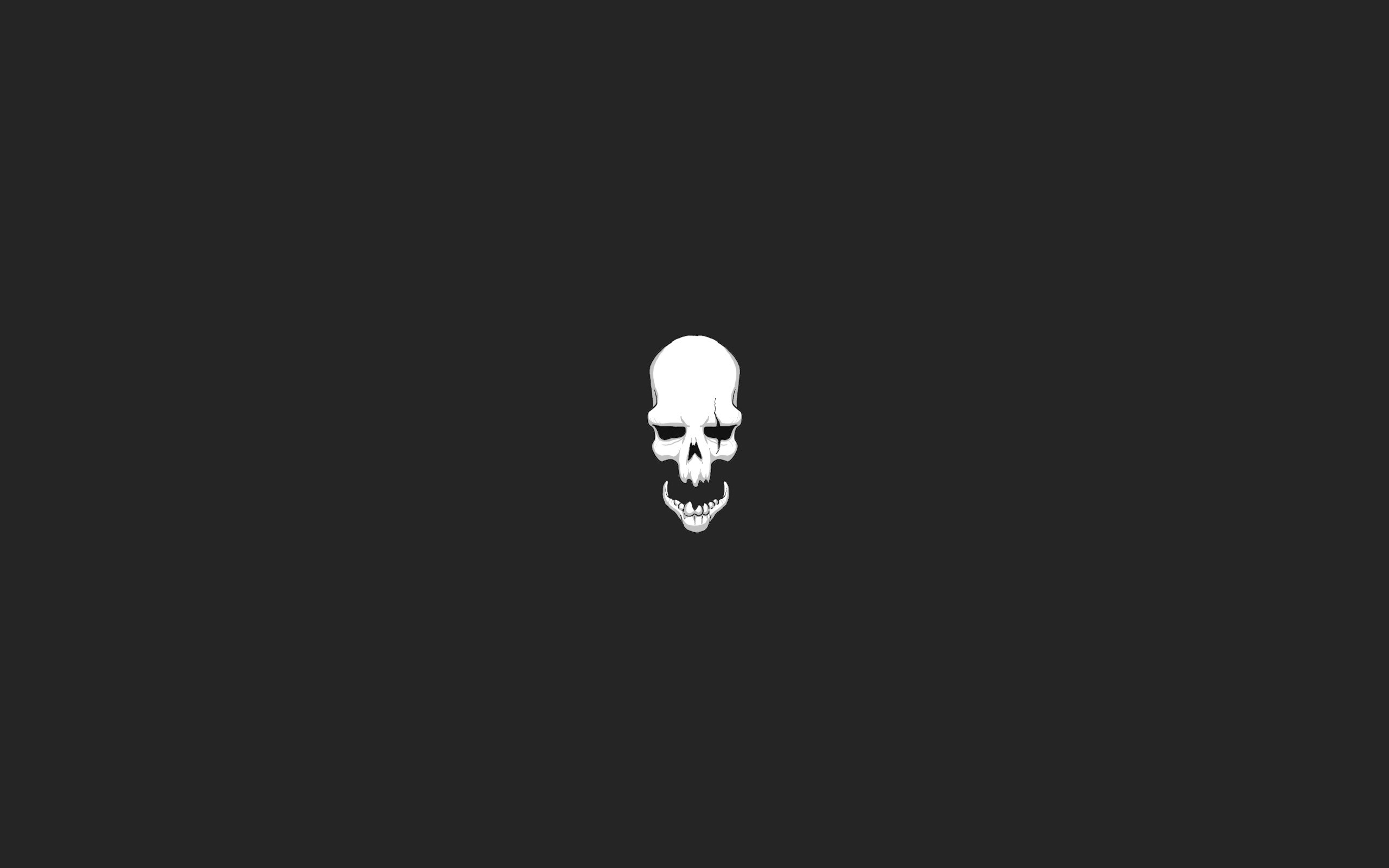 General 2560x1600 skull dark metal riots logo monochrome minimalism simple background black background artwork