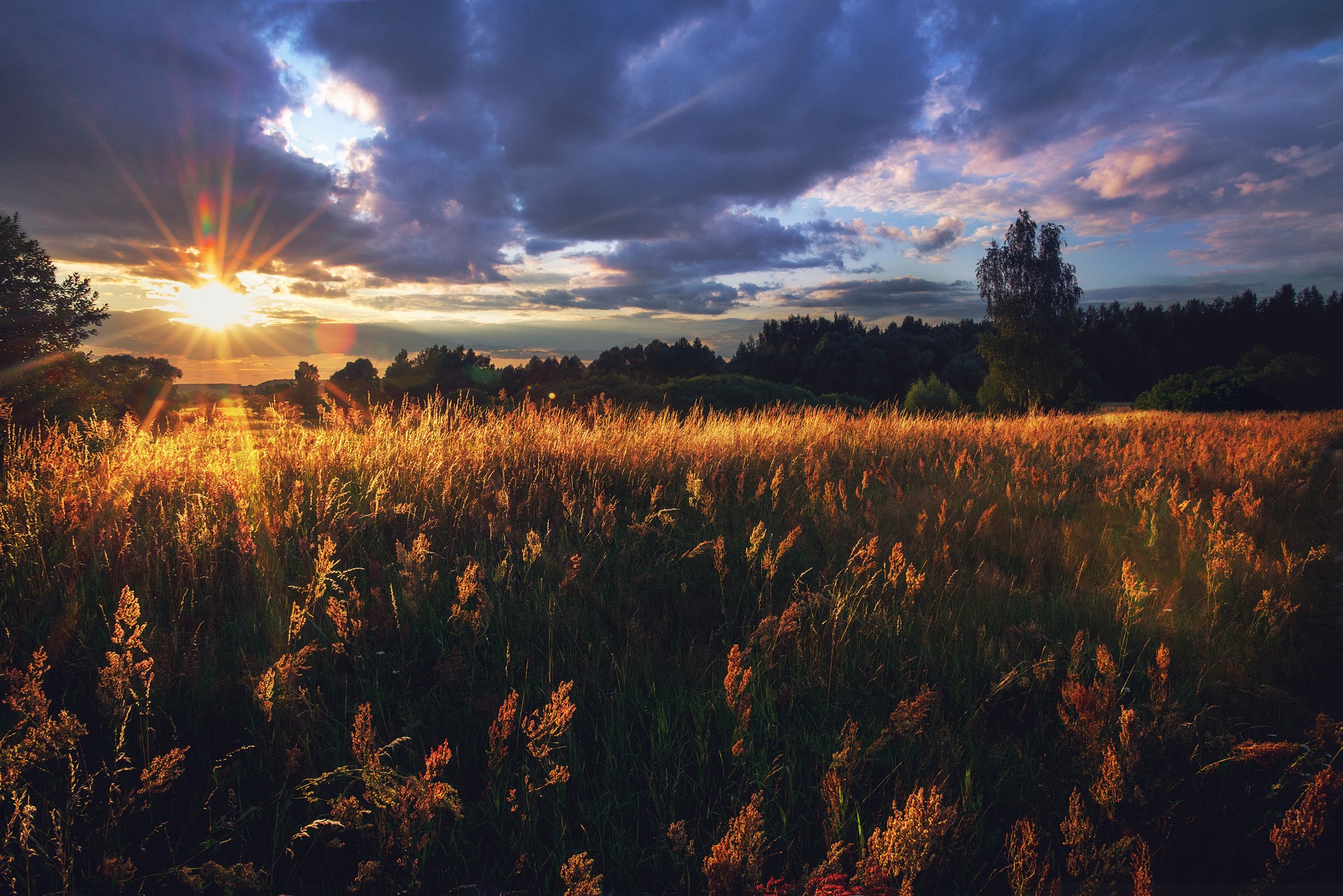 General 2048x1367 Russia landscape field lens flare sunlight overcast dry grass trees nature