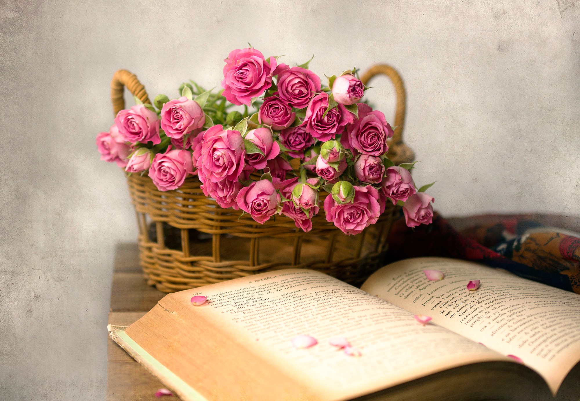 General 2000x1384 rose flowers books baskets pink flowers still life