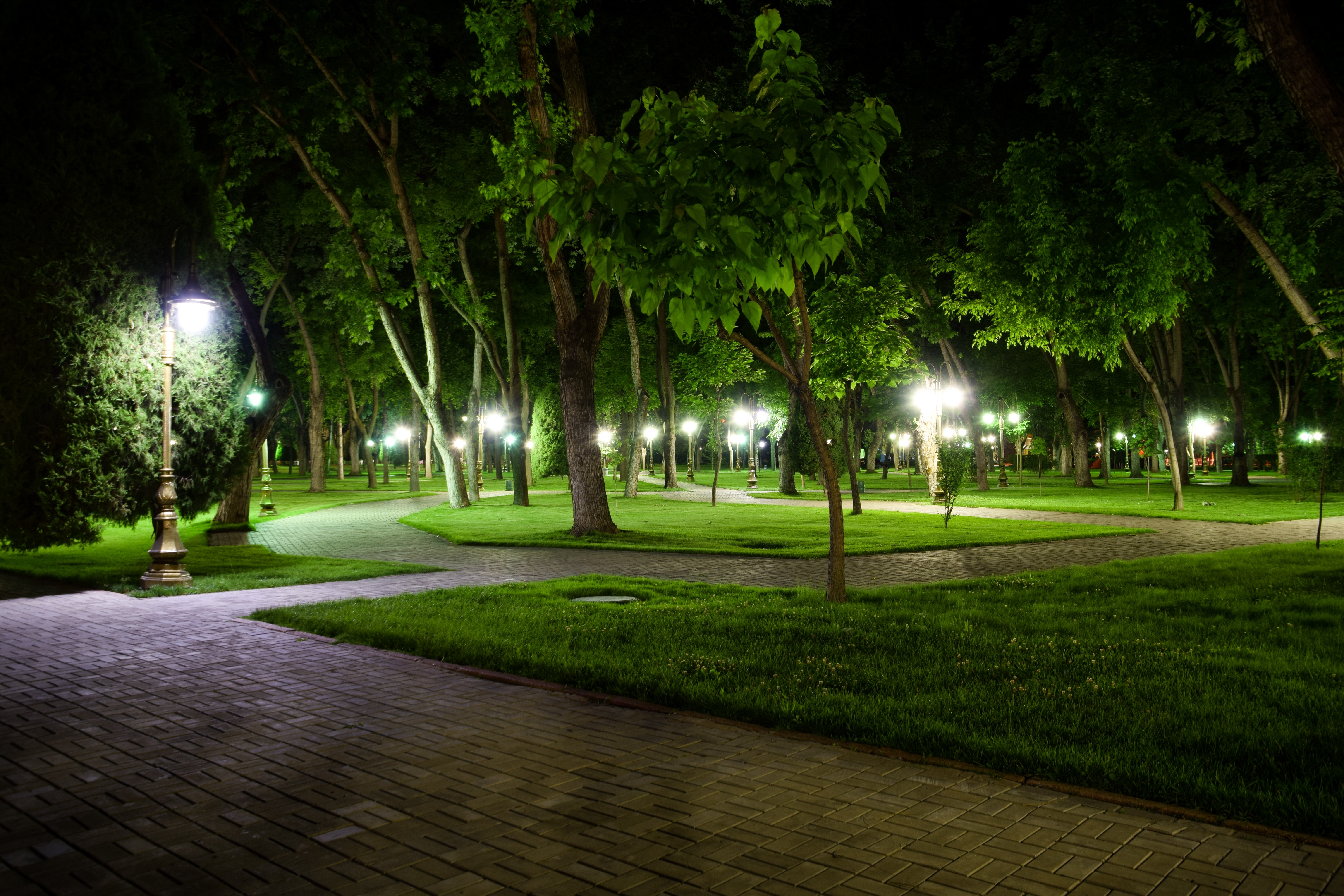 General 5938x3959 night long exposure park green trees lantern
