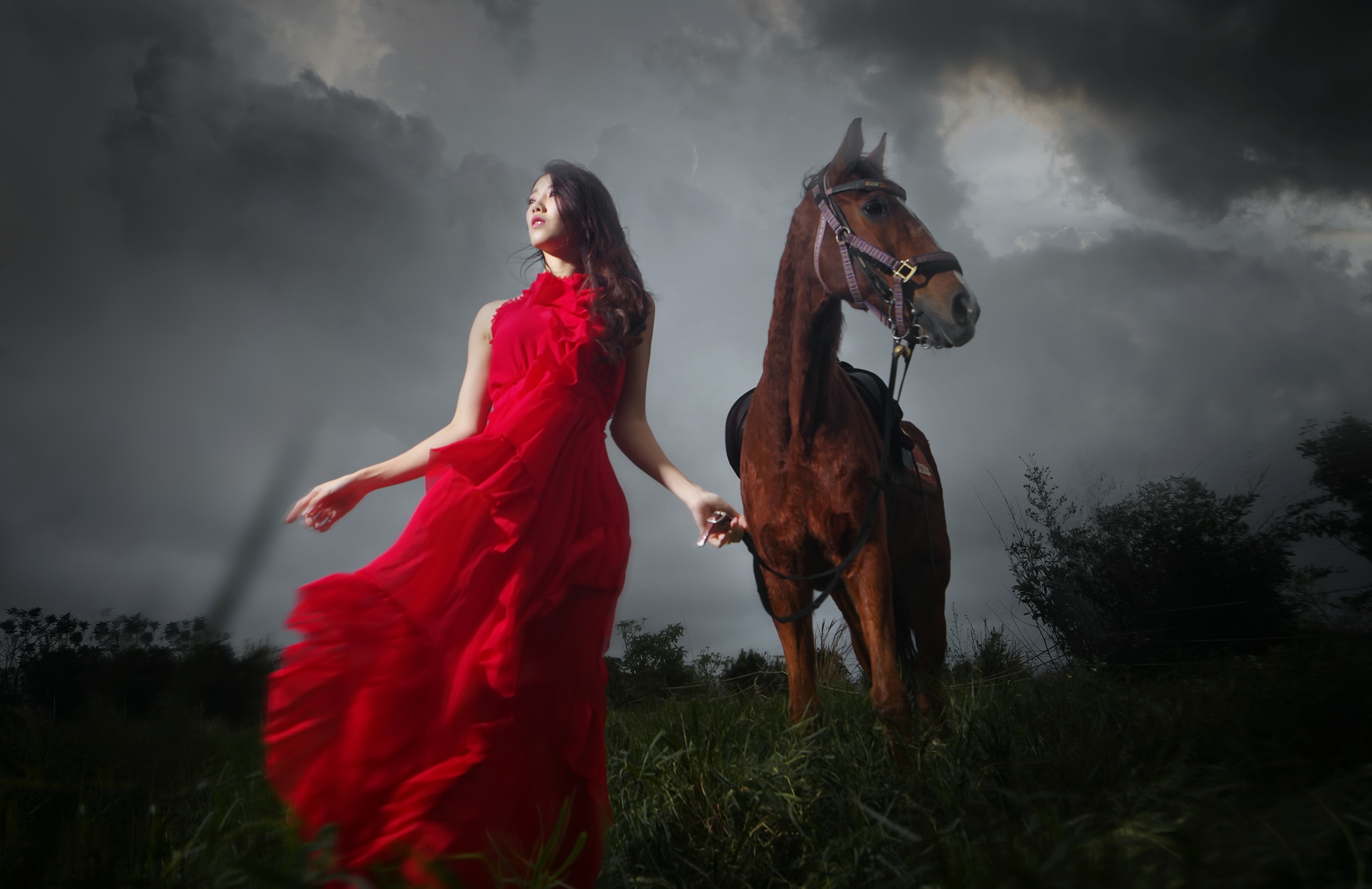 Мы вновь ехали на лошадях и любовались. Девушка с лошадью. Красивая женщина на лошади. Конь и женщина.