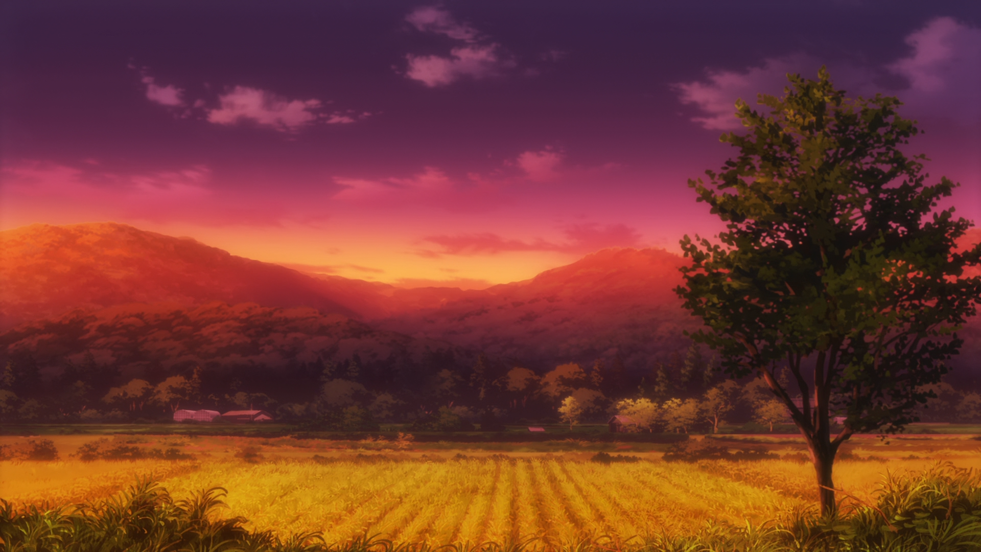 Anime 1920x1080 Non Non Biyori field sunset