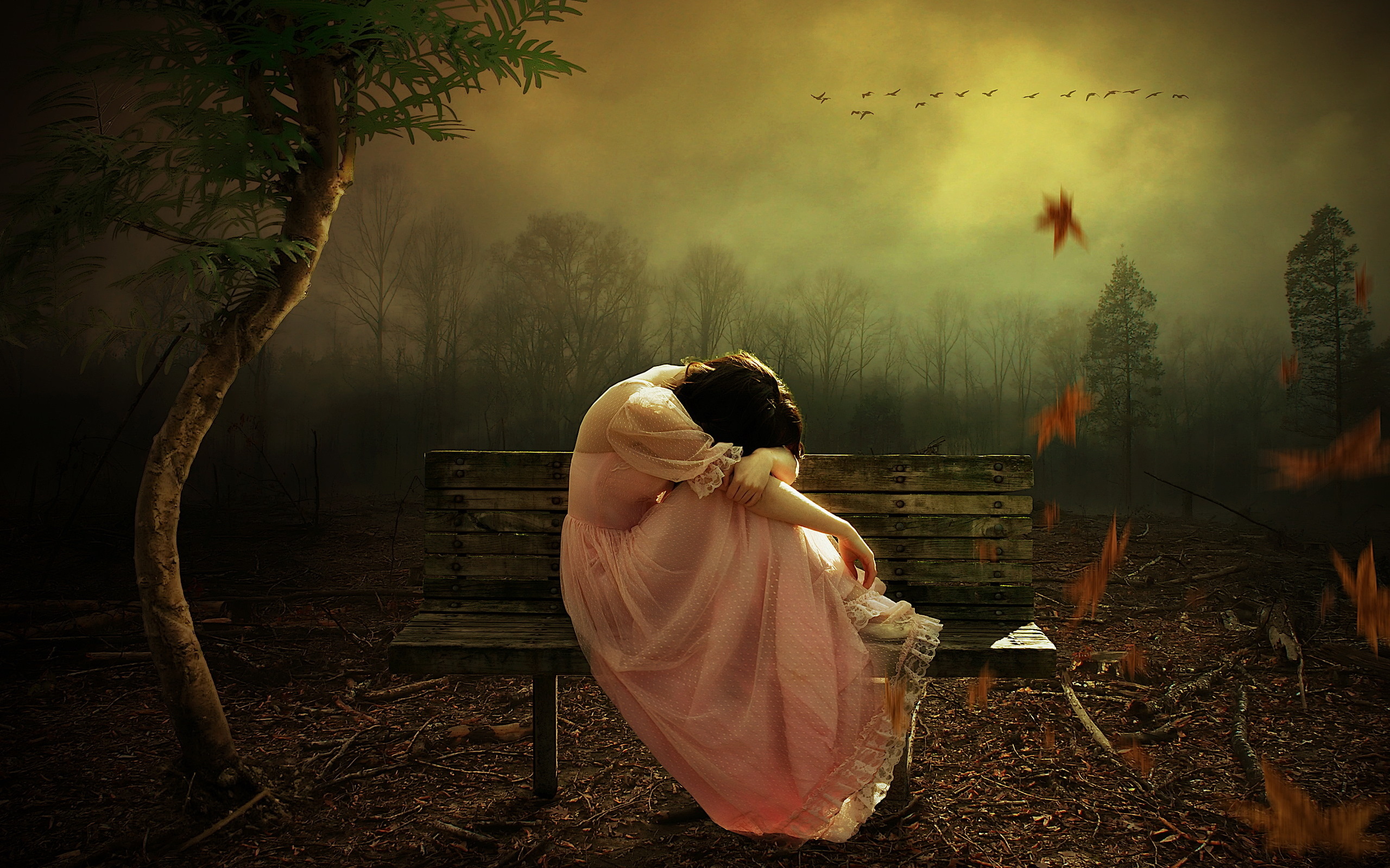 sitting, women, bench, dress, trees | 2560x1600 Wallpaper - wallhaven.cc