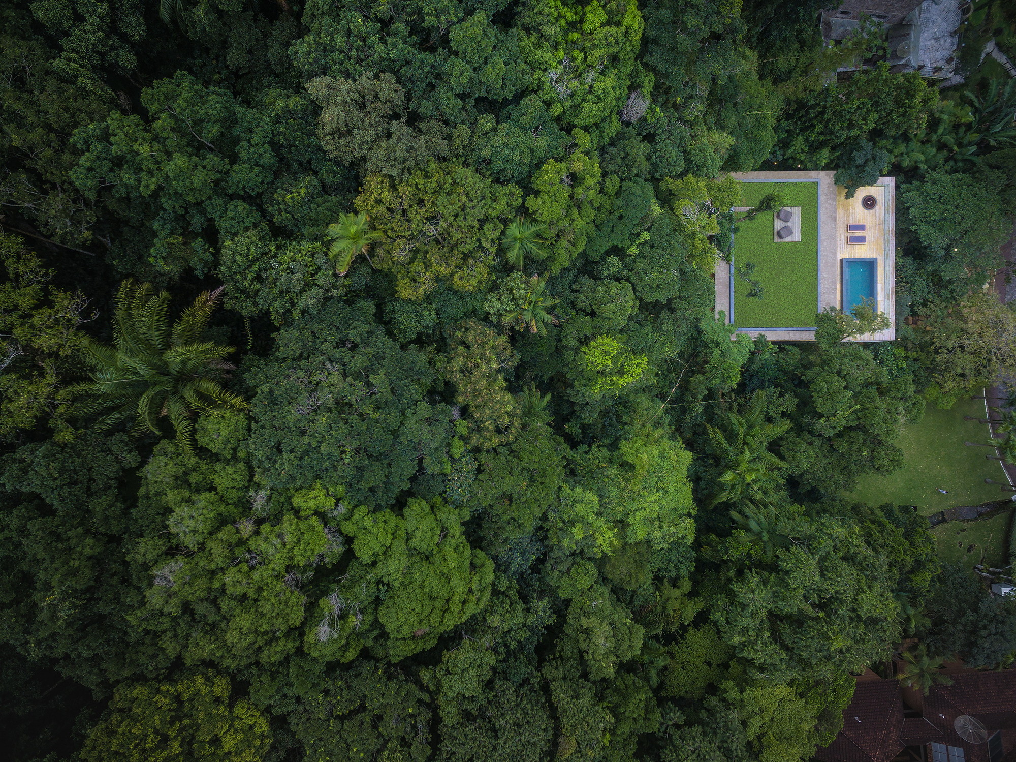 General 2000x1499 trees forest swimming pool jungle rainforest house rooftops palm trees grass Brazil modern drone photo