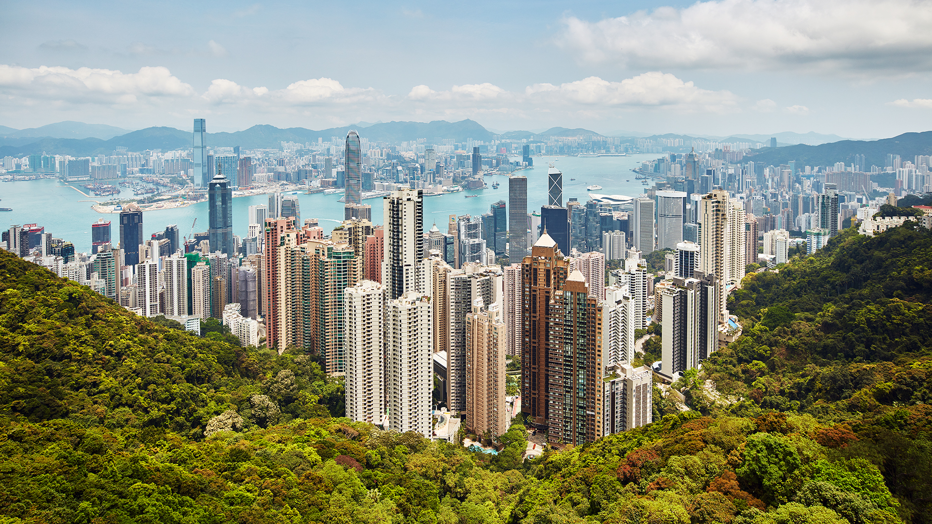 General 1920x1080 Hong Kong cityscape building trees
