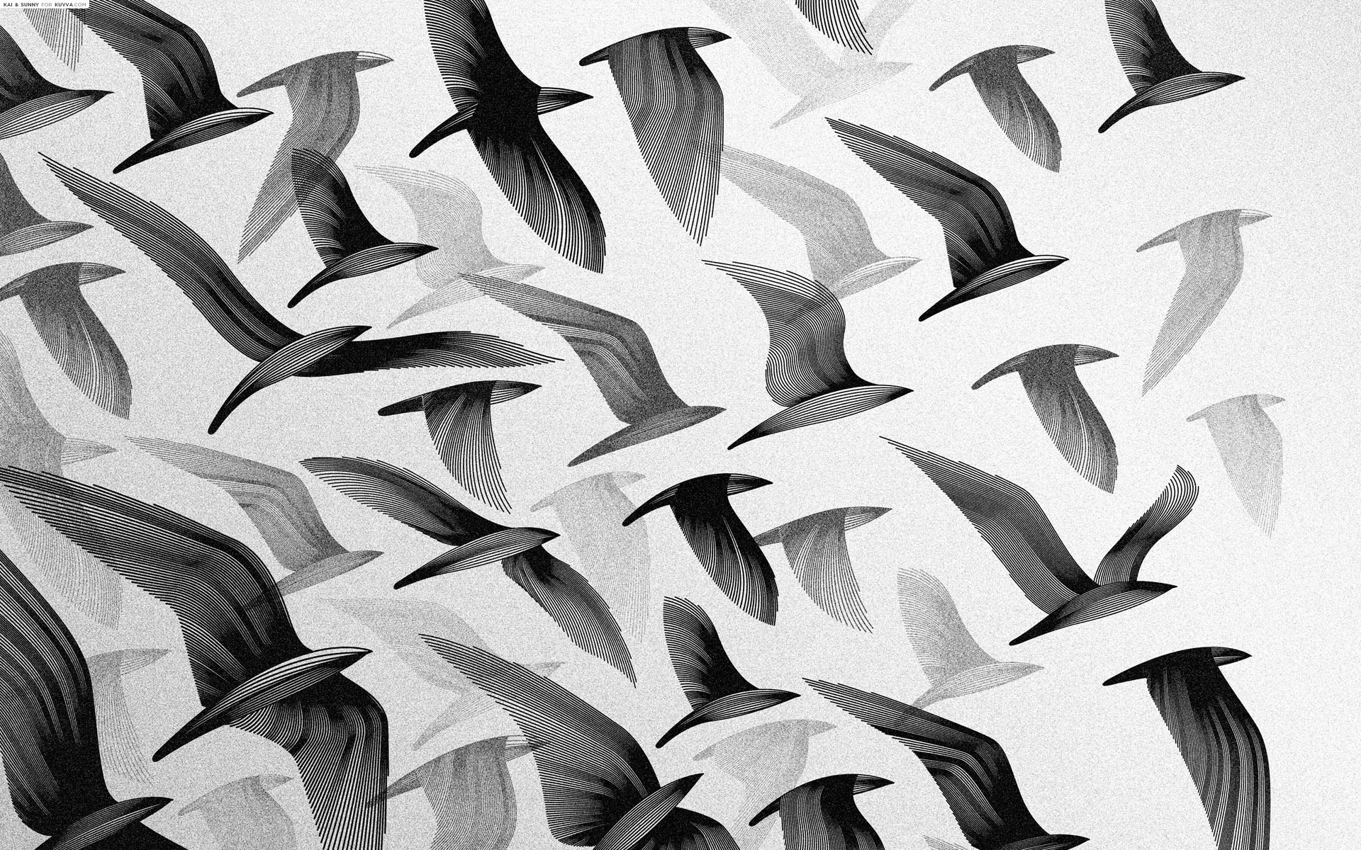 General 1920x1200 monochrome birds silhouette flying