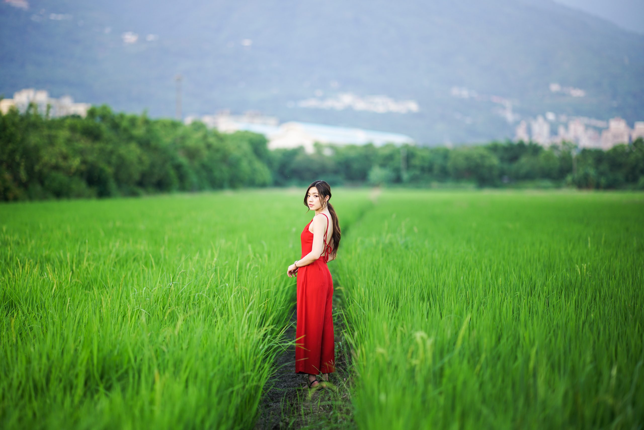 People 2560x1708 women Asian model Kiki Hsieh red clothing red dress depth of field grass