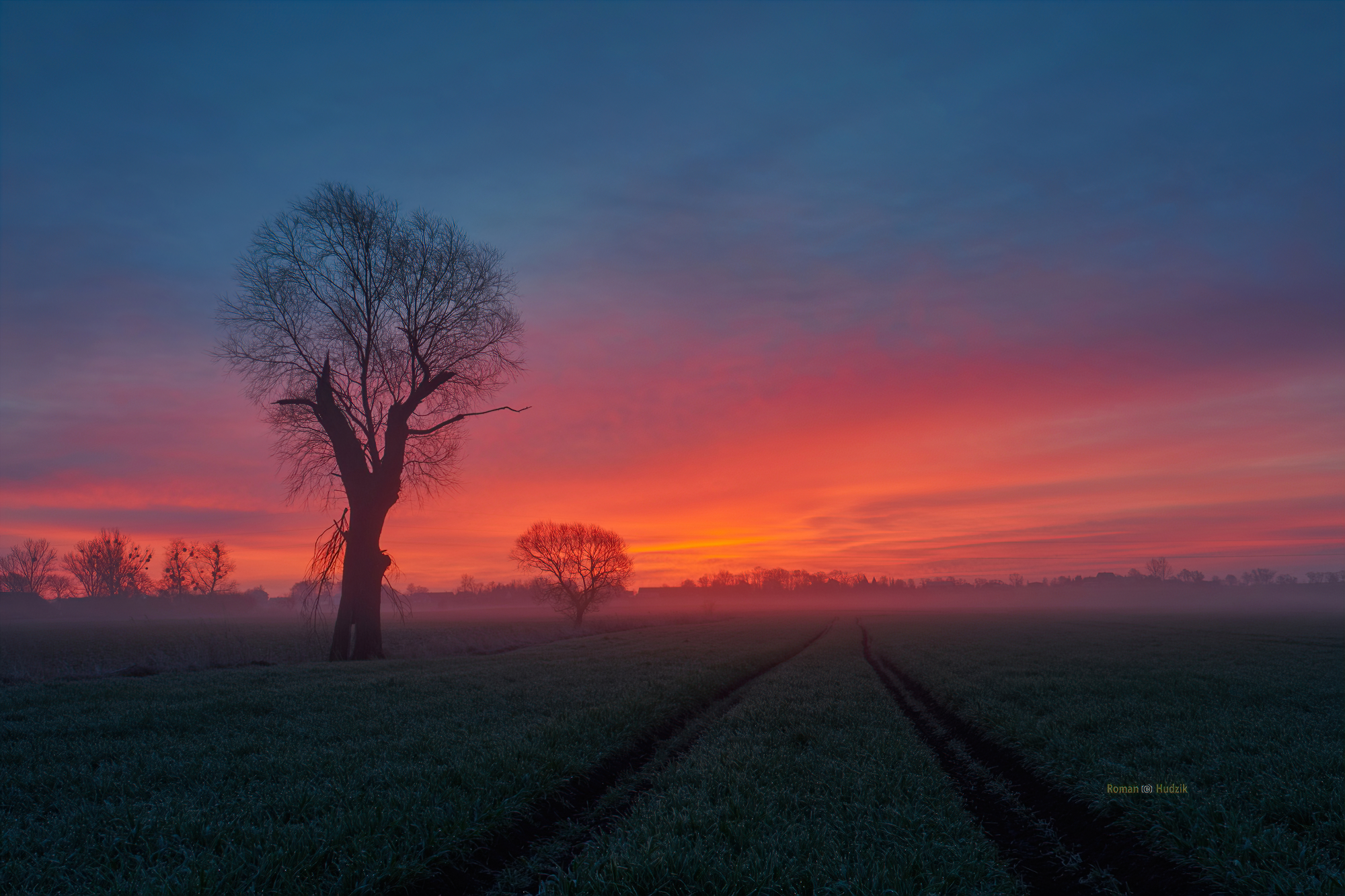 General 2000x1333 landscape mist photography sunset cold winter field trees nature outdoors Roman Hudzik low light watermarked