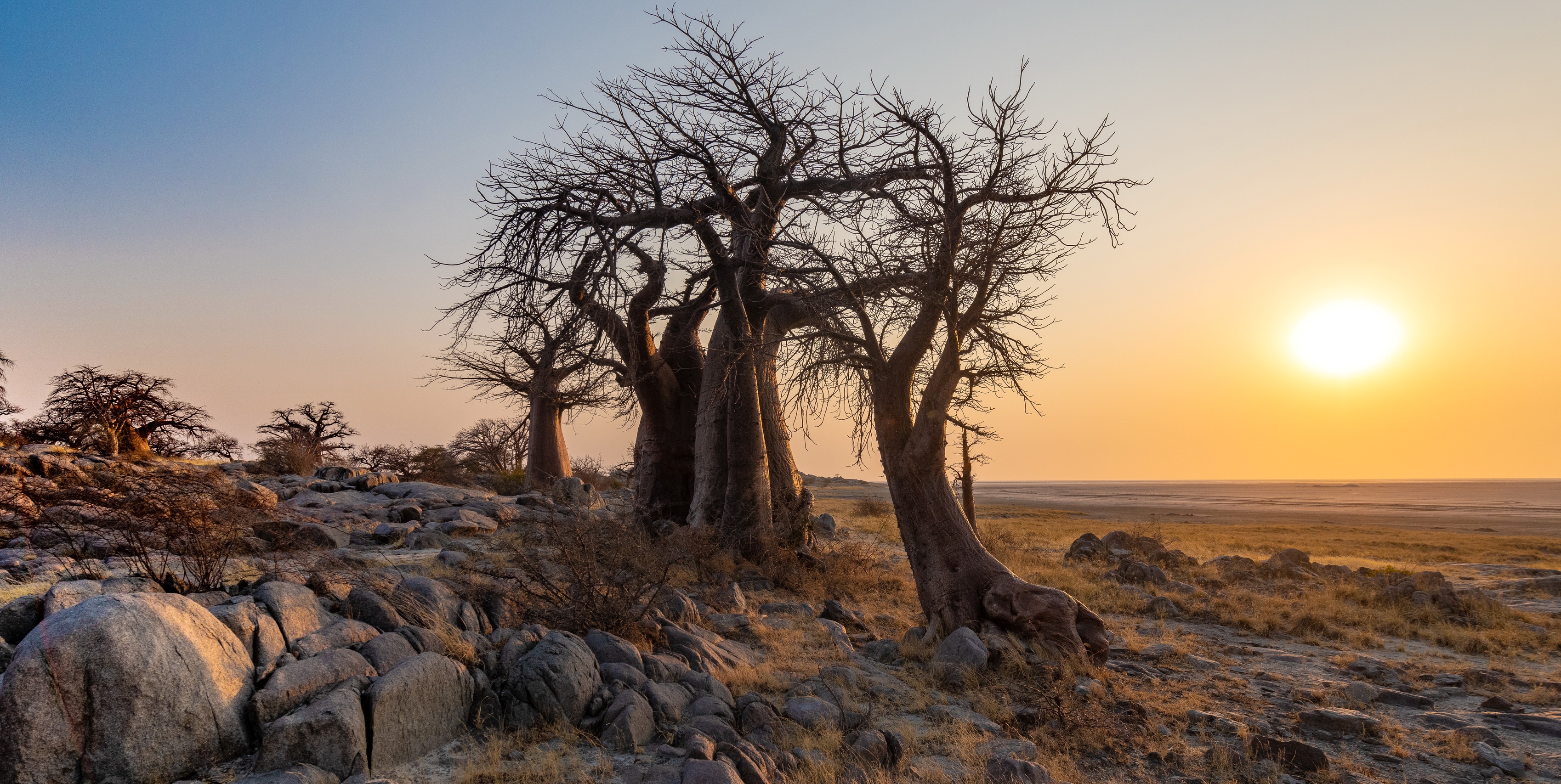 General 3397x1707 Botswana Africa nature landscape Sun trees