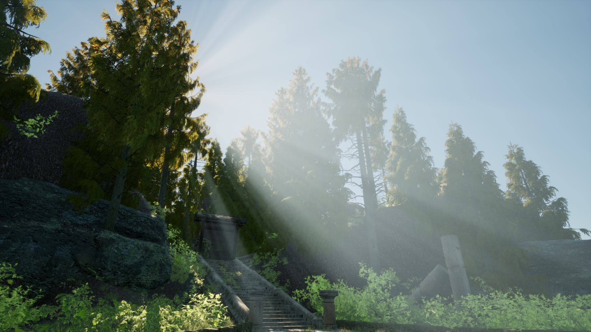 General 1920x1080 forest Sunshine物语 sunlight steps trees stairs