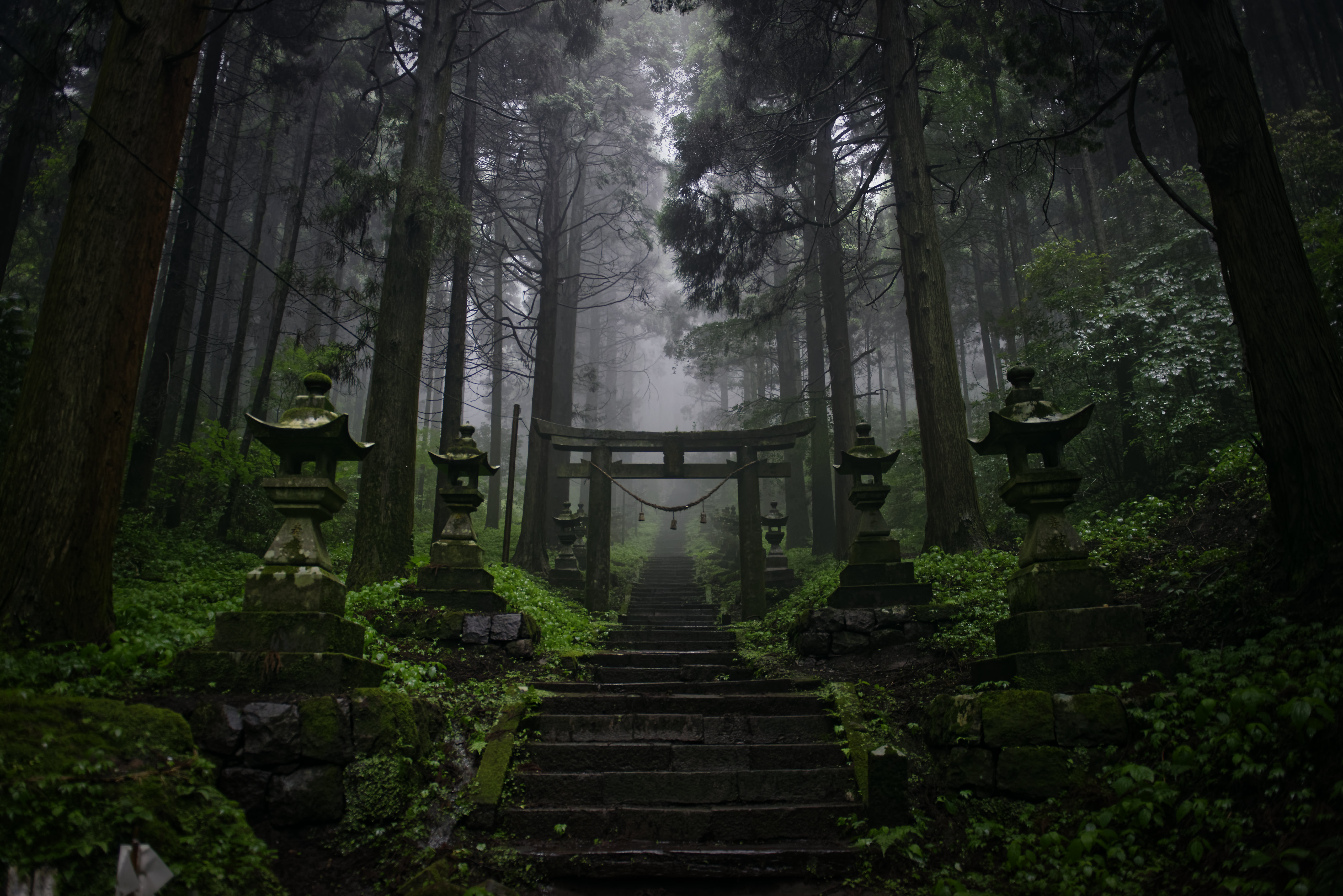 General 5120x3416 forest temple tropical forest Asia dark mist torii