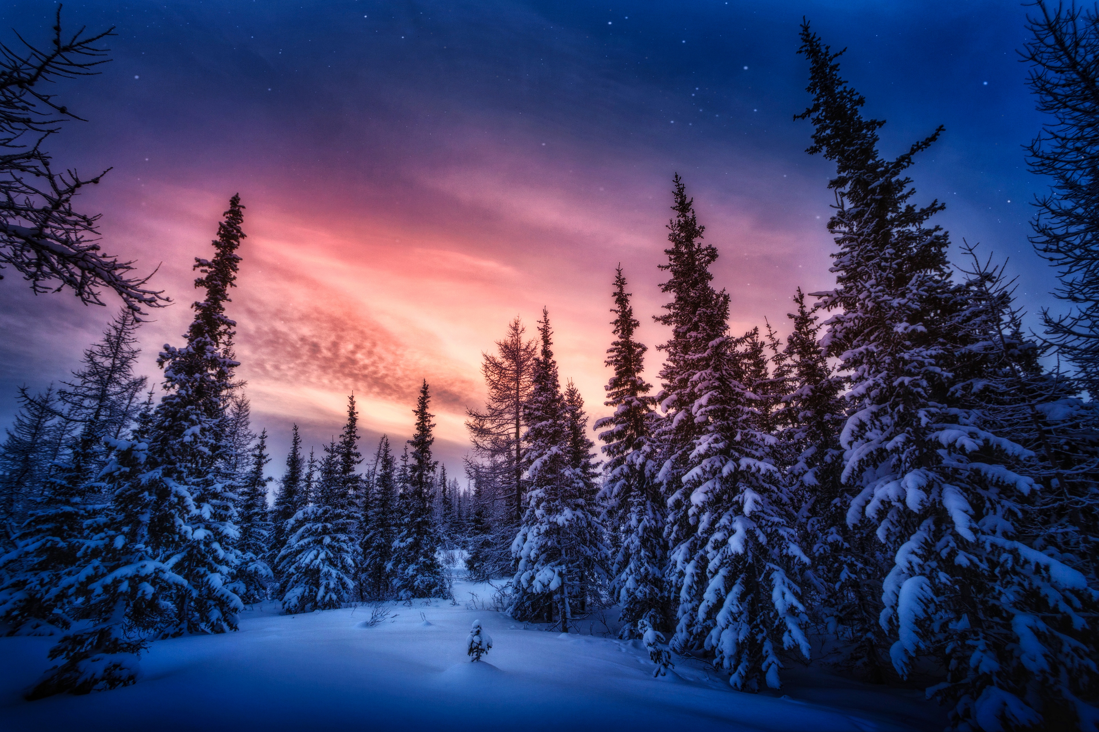 General 3840x2560 nature forest sky winter snow clouds low light