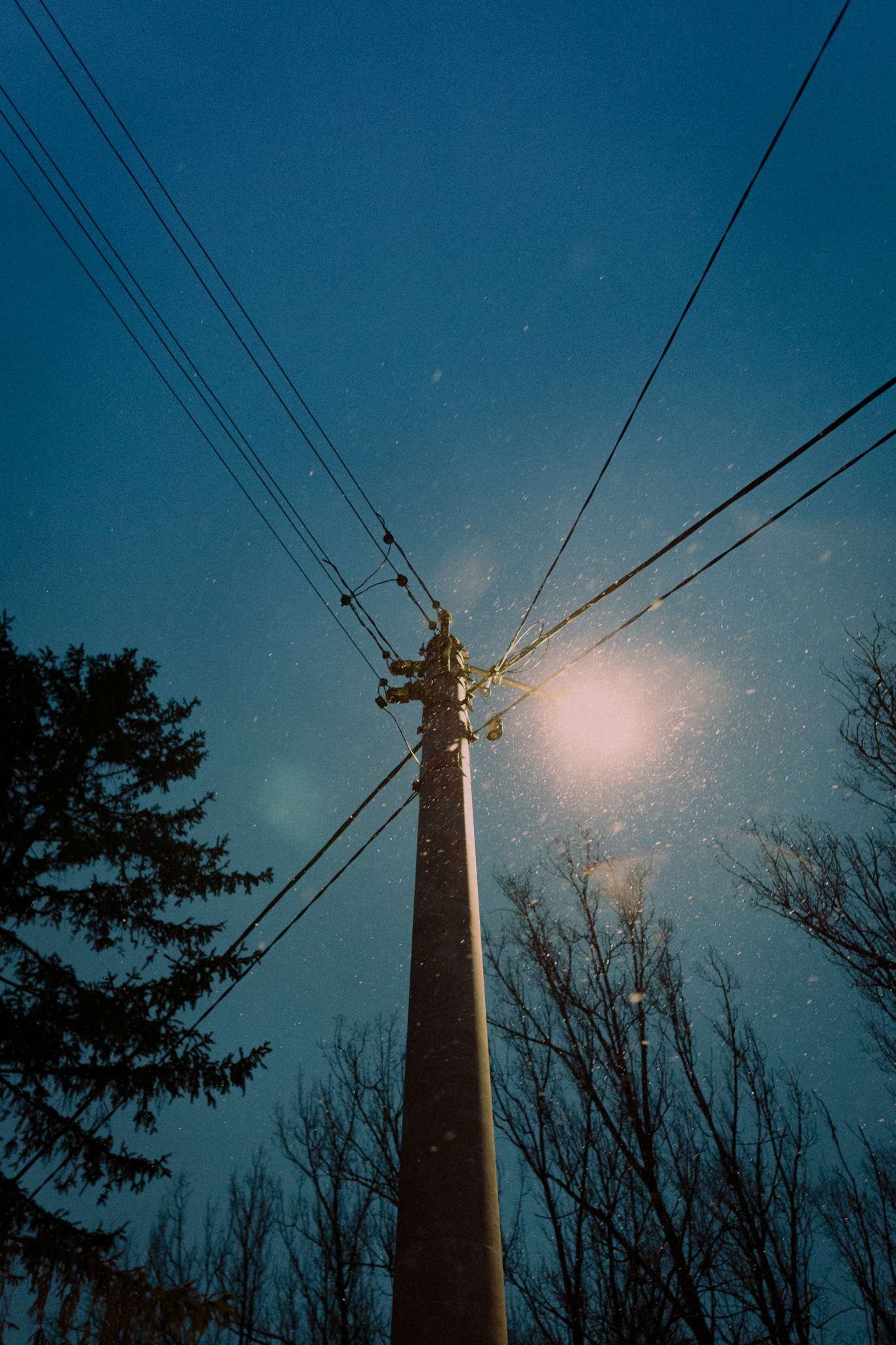 General 1365x2048 snow outdoors winter cold power lines