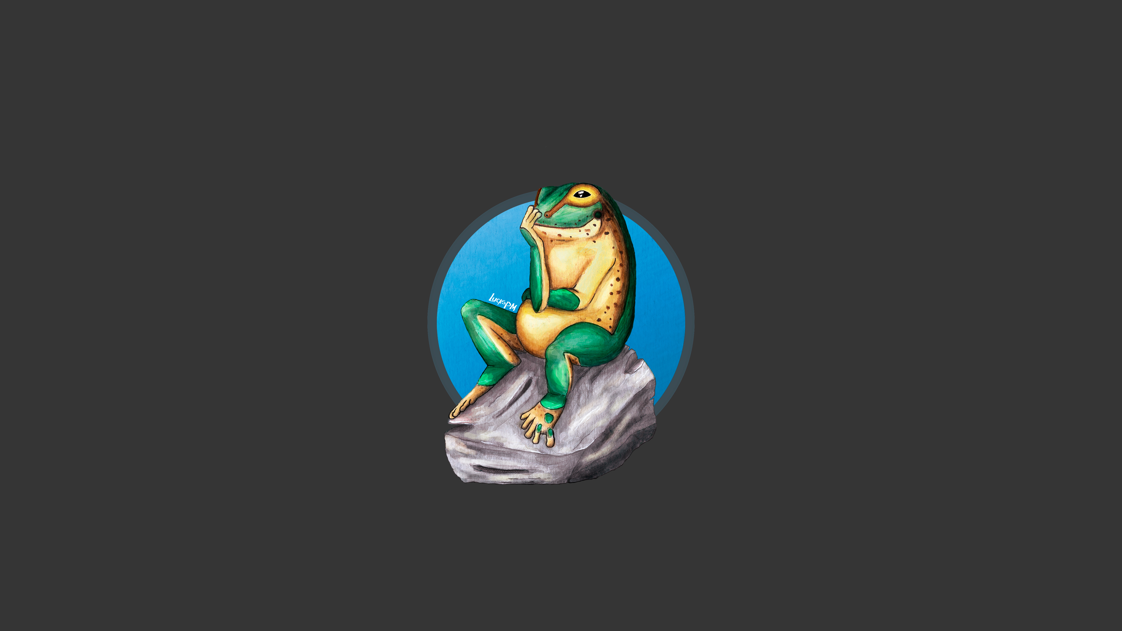 General 3840x2160 frog minimalism simple background nature