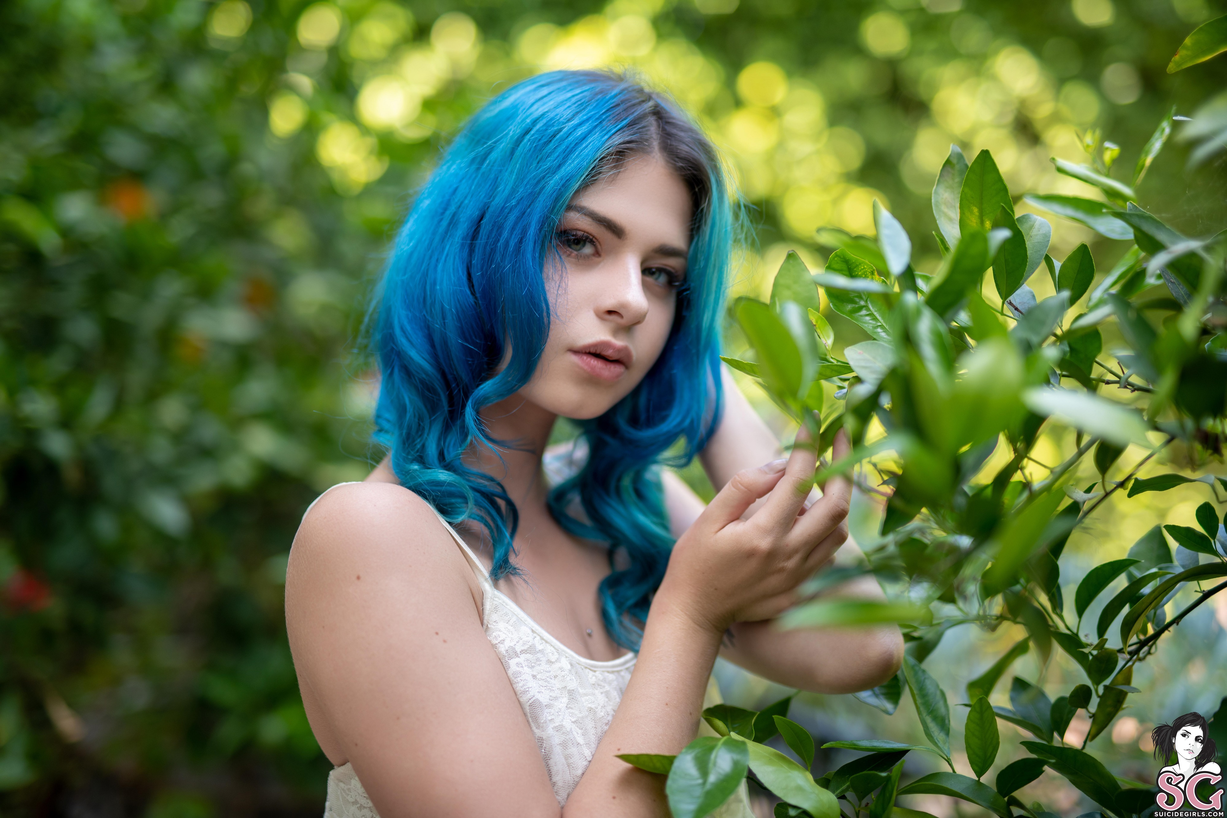 People 4000x2667 women model dyed hair looking at viewer portrait bokeh leaves white dress outdoors women outdoors Kuroha Suicide plants green face closeup watermarked dress Suicide Girls