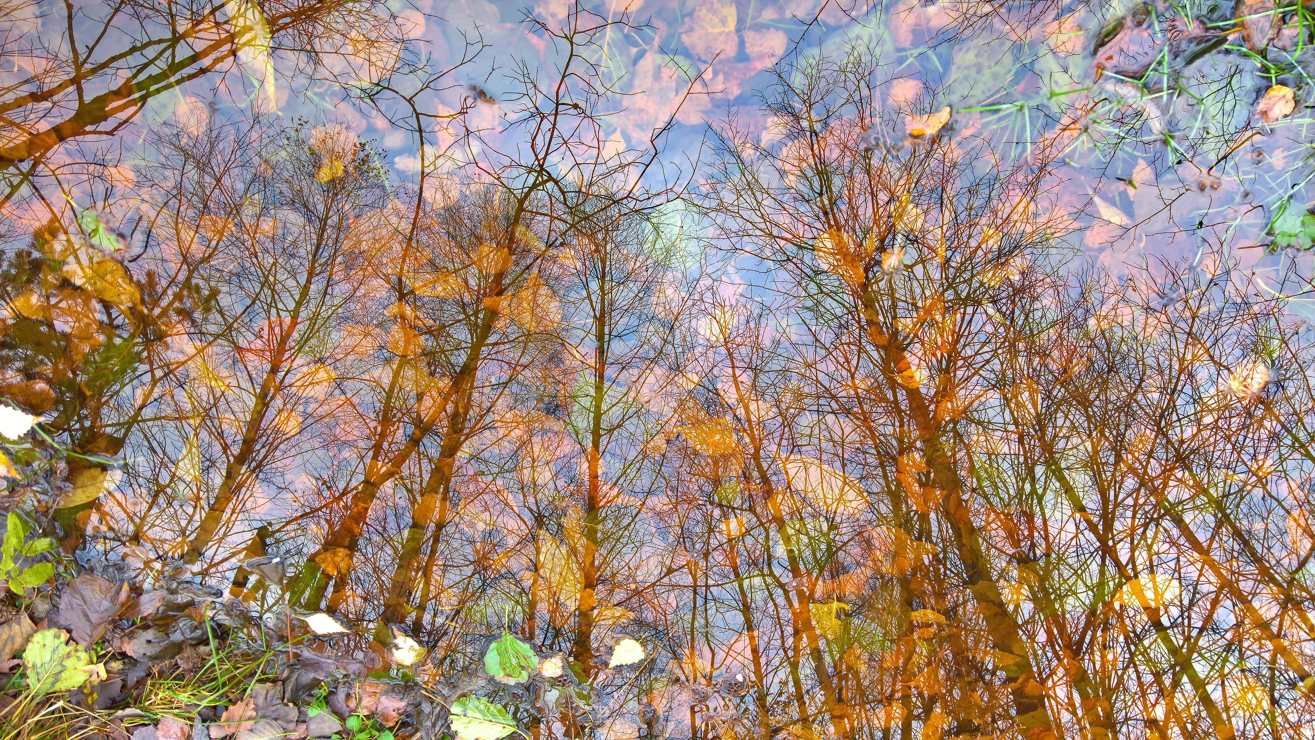 General 5344x3008 fall leaves trees water reflection double exposure