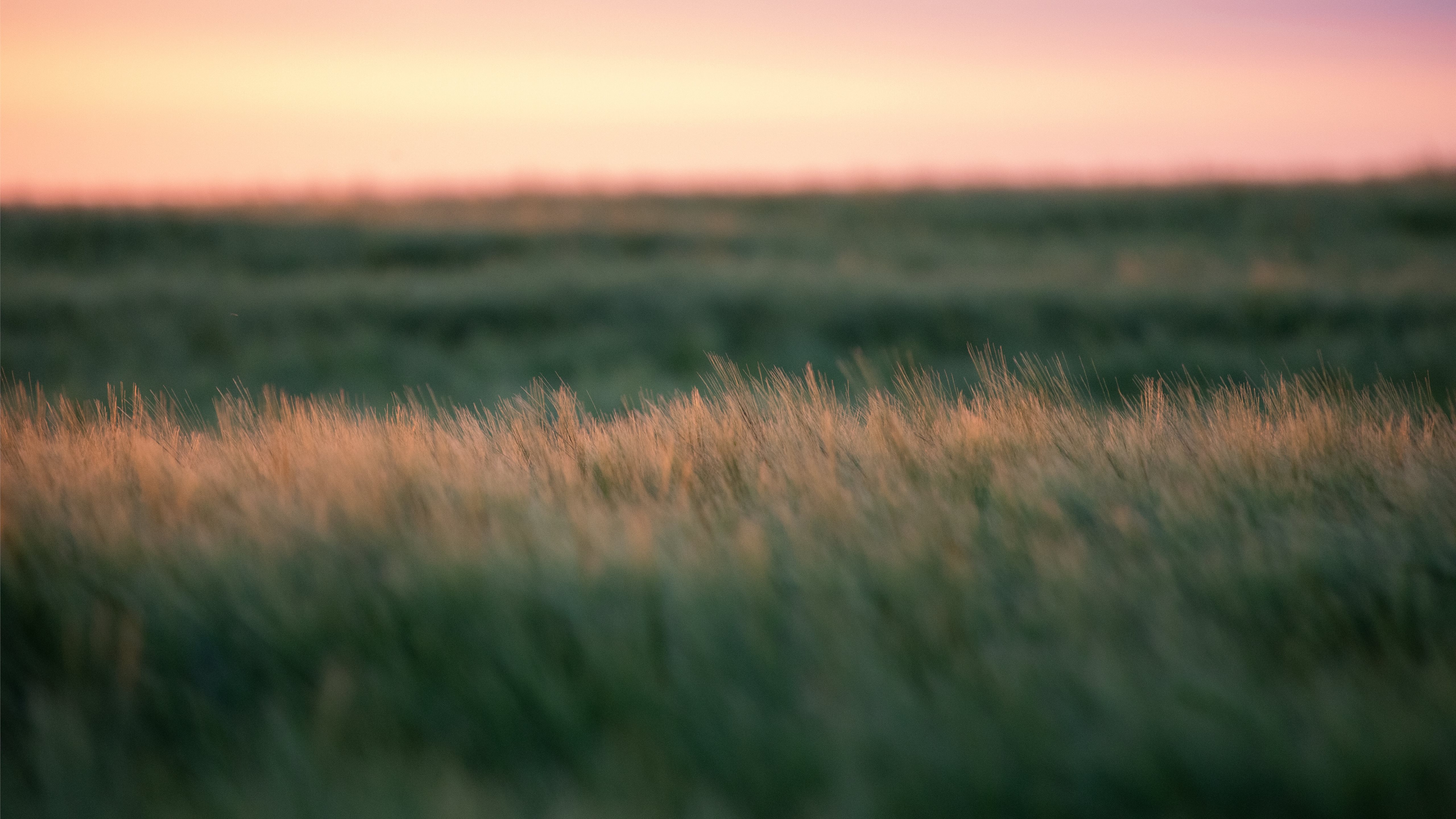 General 5120x2880 field sunset grass landscape