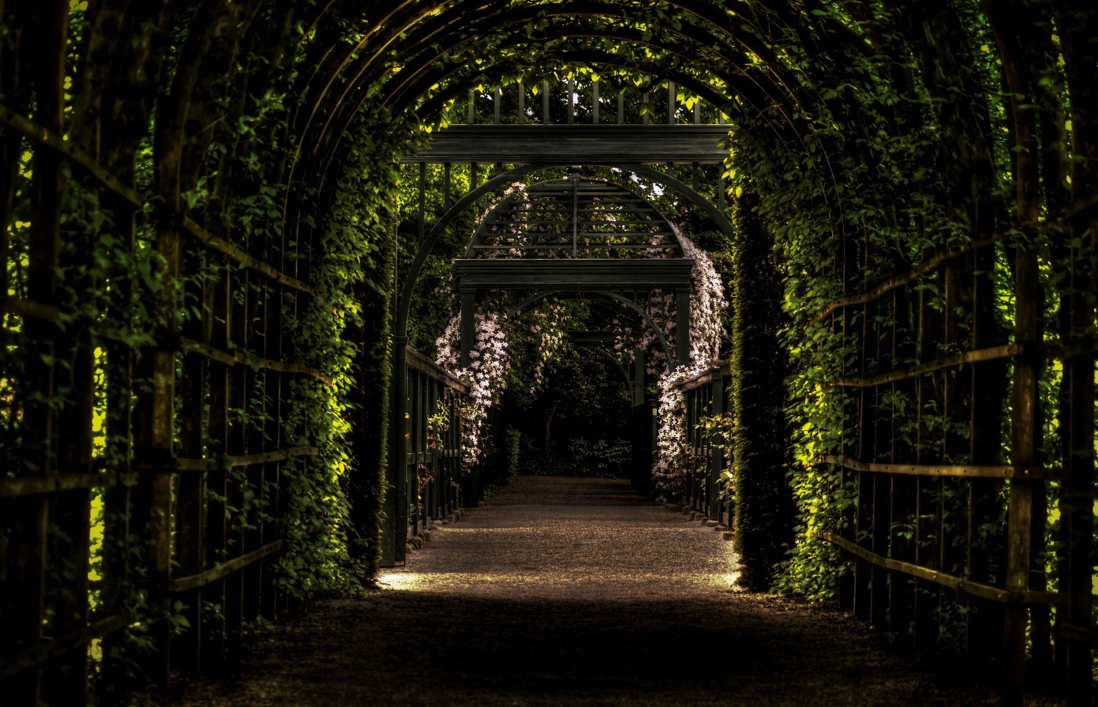 General 3840x2474 nature trees branch leaves tunnel arch Netherlands flowers botanic gardens wood grid path