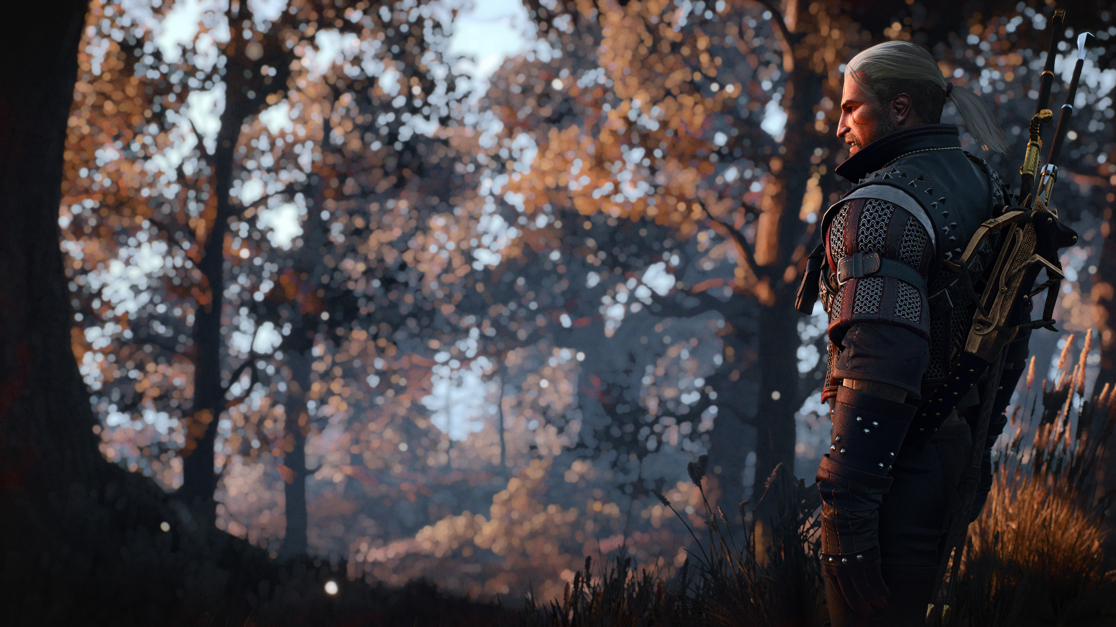 General 3840x2160 The Witcher 3: Wild Hunt The Witcher 3: Wild Hunt – Hearts of Stone PC gaming Nvidia Ansel CD Projekt RED