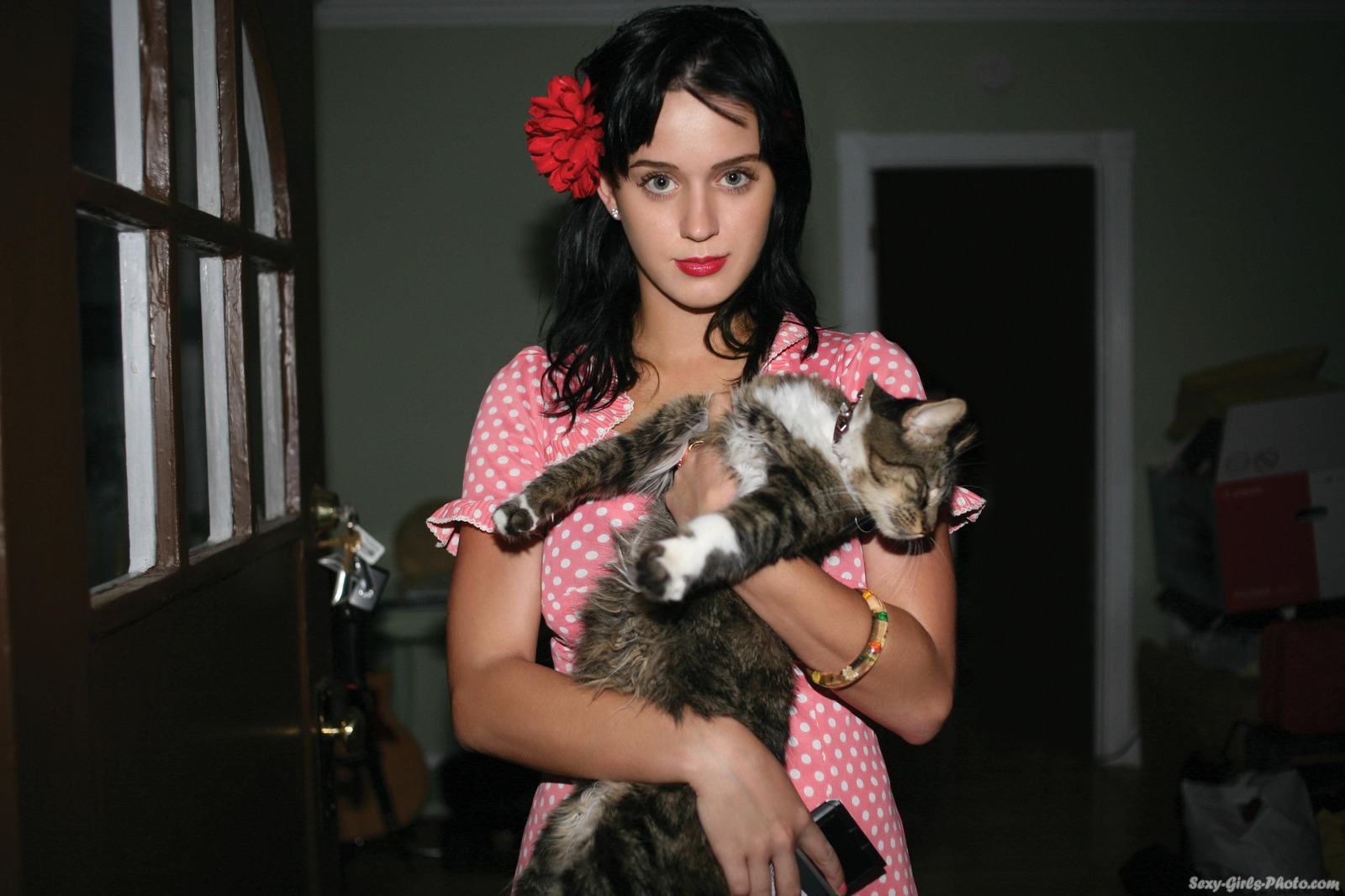 People 1600x1066 Katy Perry singer women blue eyes cats women with cat animals flower in hair red lipstick dark hair celebrity women indoors mammals pink dress polka dots looking at viewer