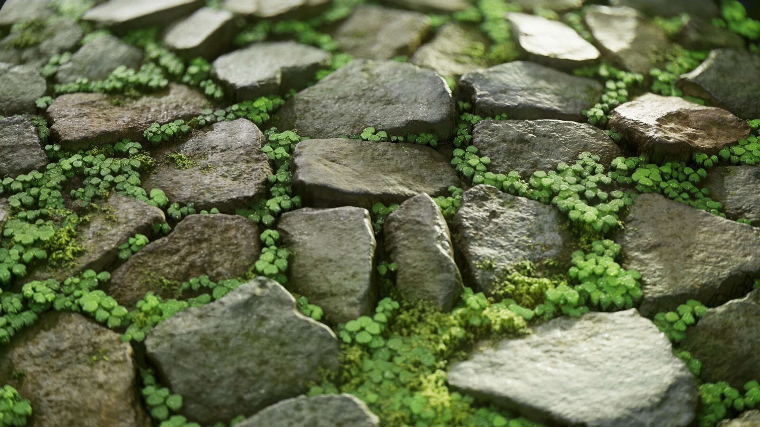 General 2560x1440 grass digital art cobblestone rocks nature Vasilina Sirotina clovers stones