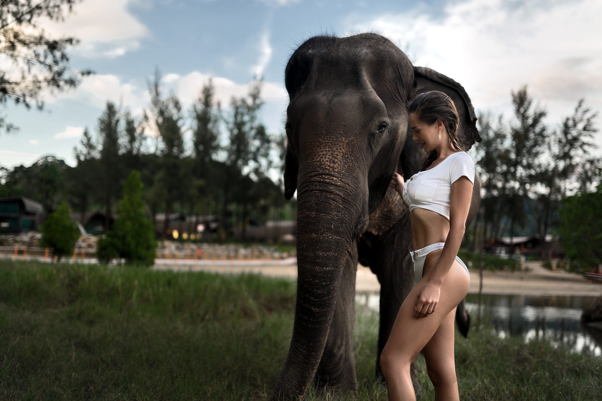 People 2000x1333 Nikolay Novikov elephant women mammals animals model women outdoors