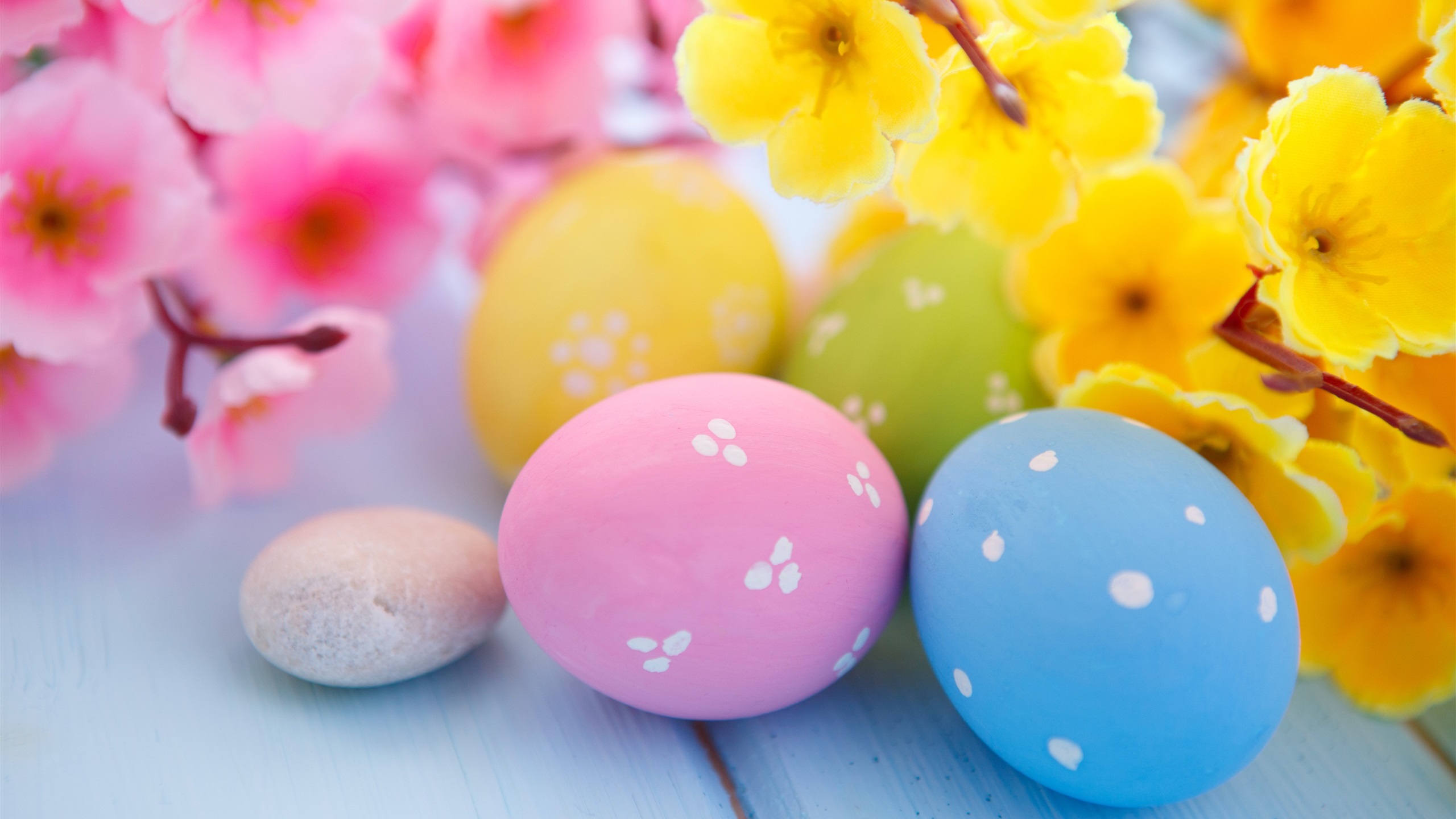 General 2560x1440 easter eggs flowers Easter colorful plants
