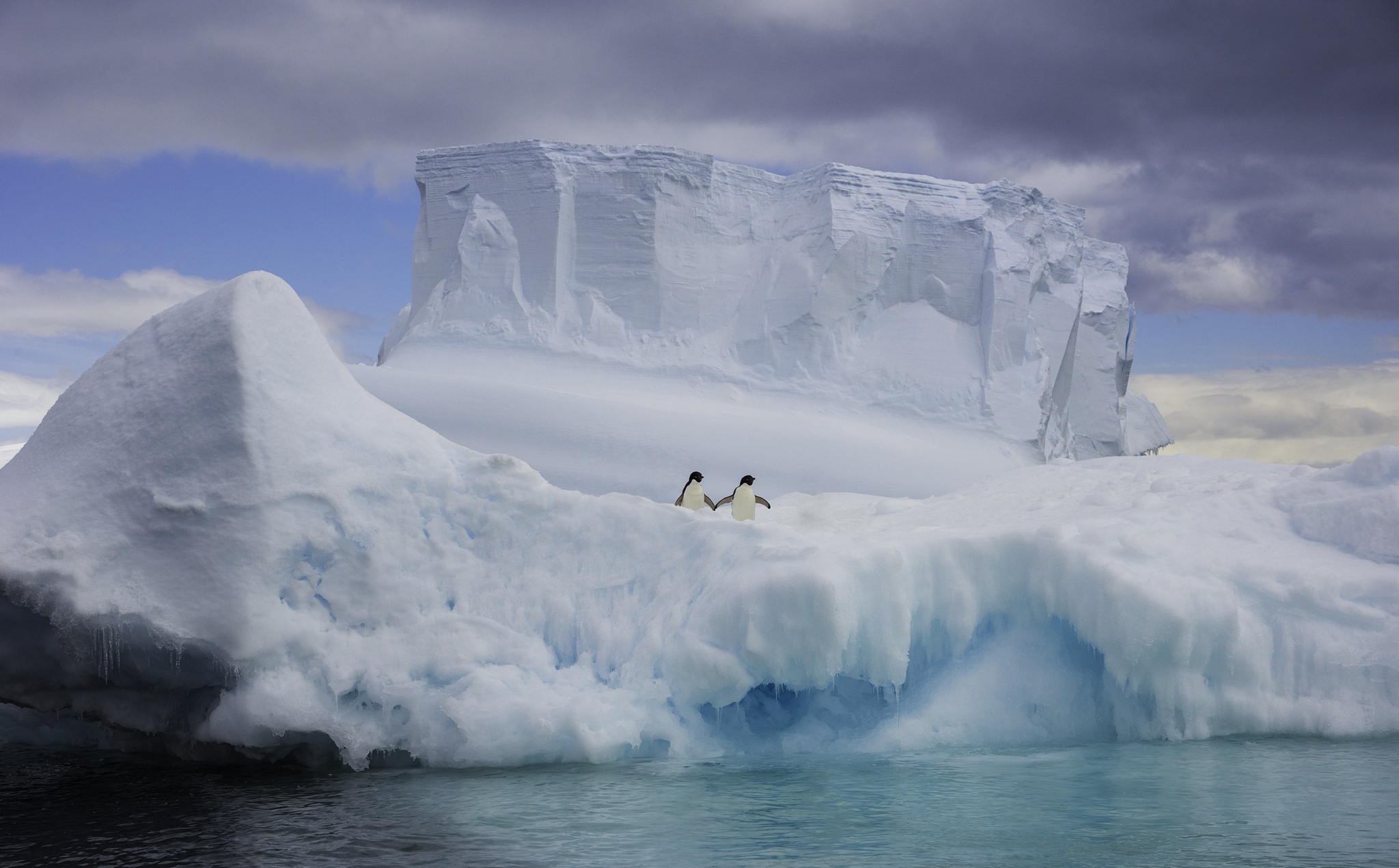 General 2048x1271 iceberg Arctic animals penguins water nature holding hands