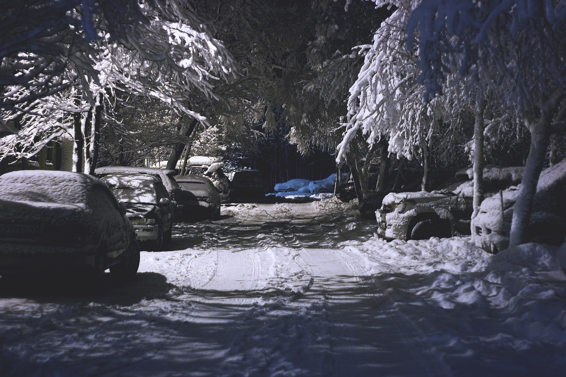 General 1920x1280 winter landscape night parking lot trees road snow