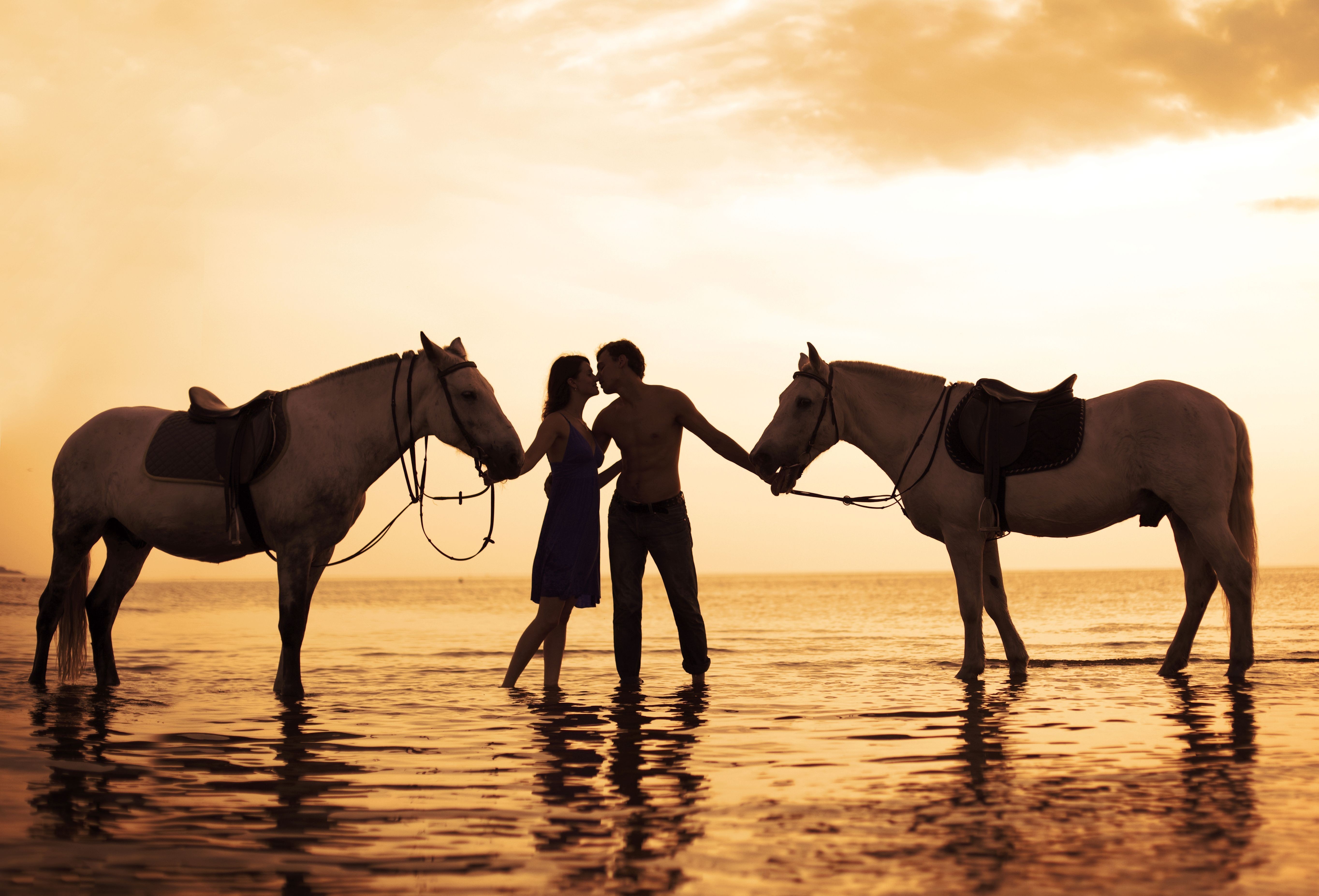 General 5456x3709 couple horse water sunset kissing love sea women outdoors men outdoors animals mammals low light