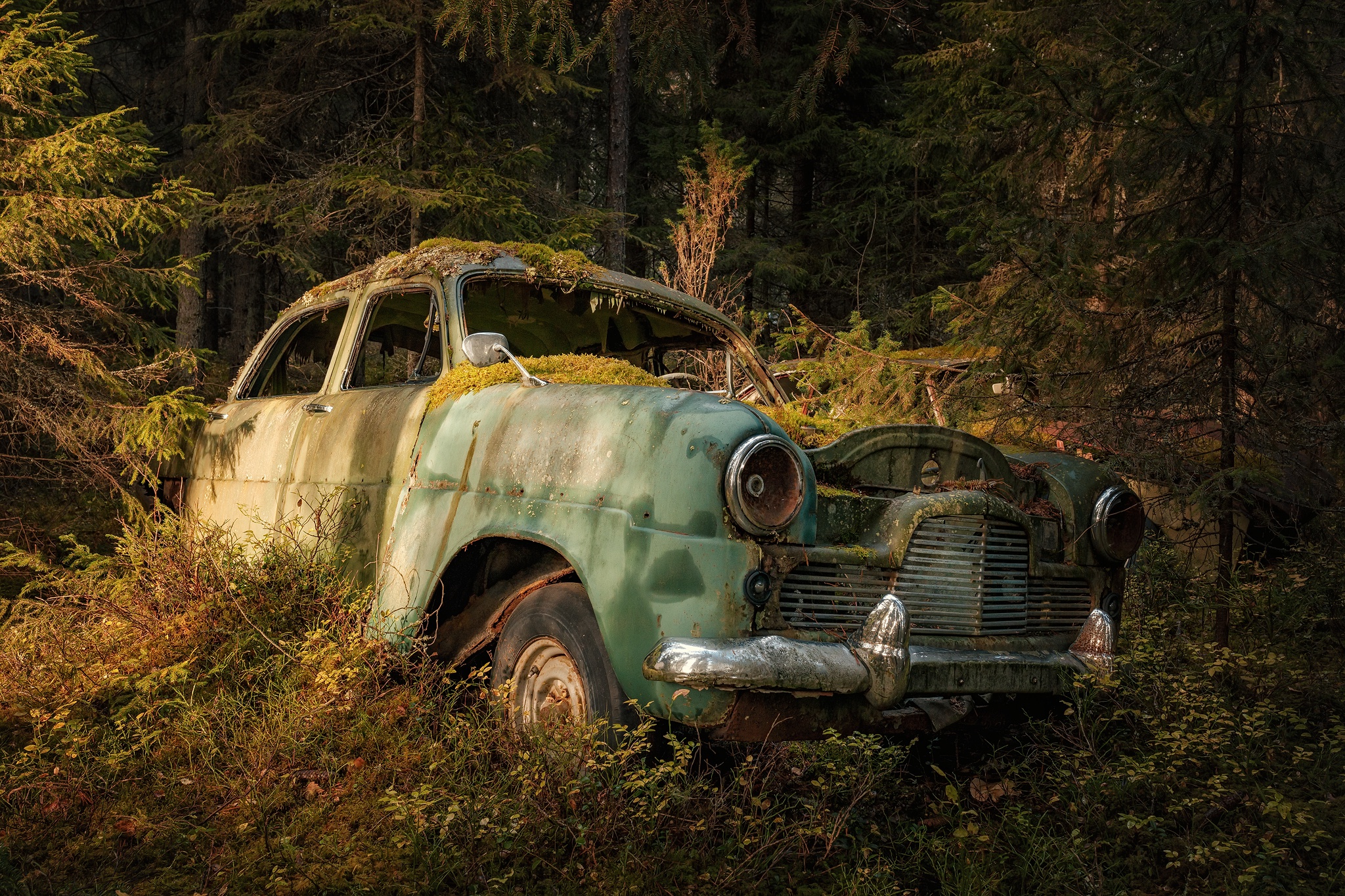 General 2048x1365 old car vehicle wreck moss