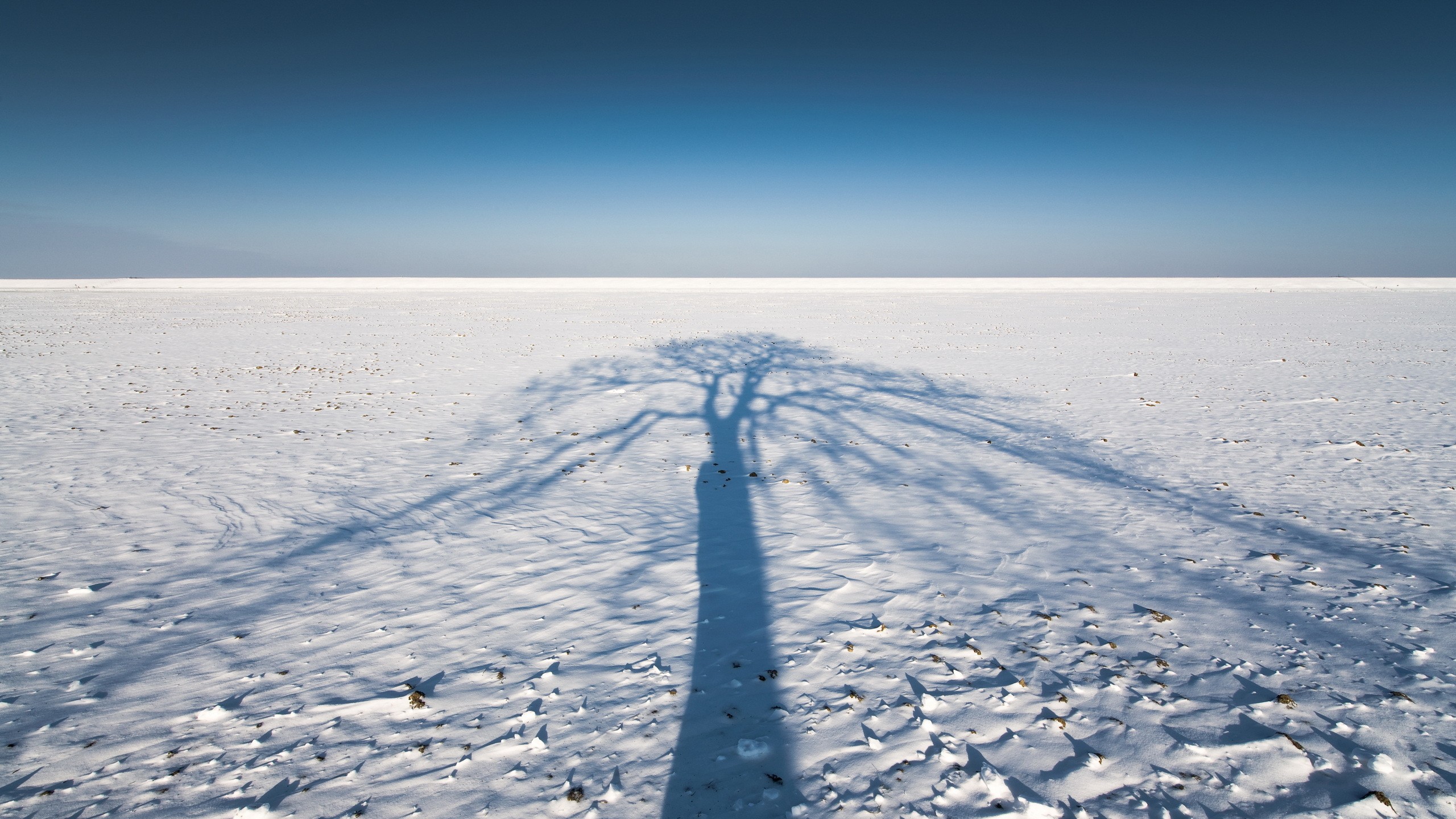 General 2560x1440 shadow snow winter landscape nature cold outdoors sky horizon