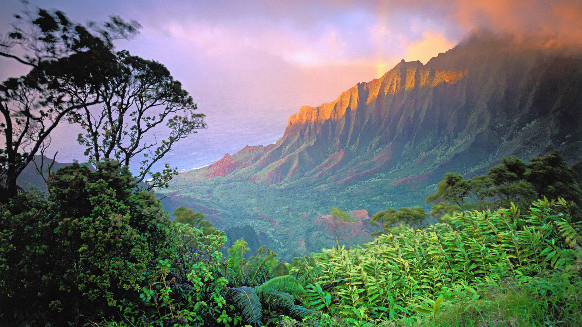 General 1920x1080 cliff forest Hawaii mountains landscape island