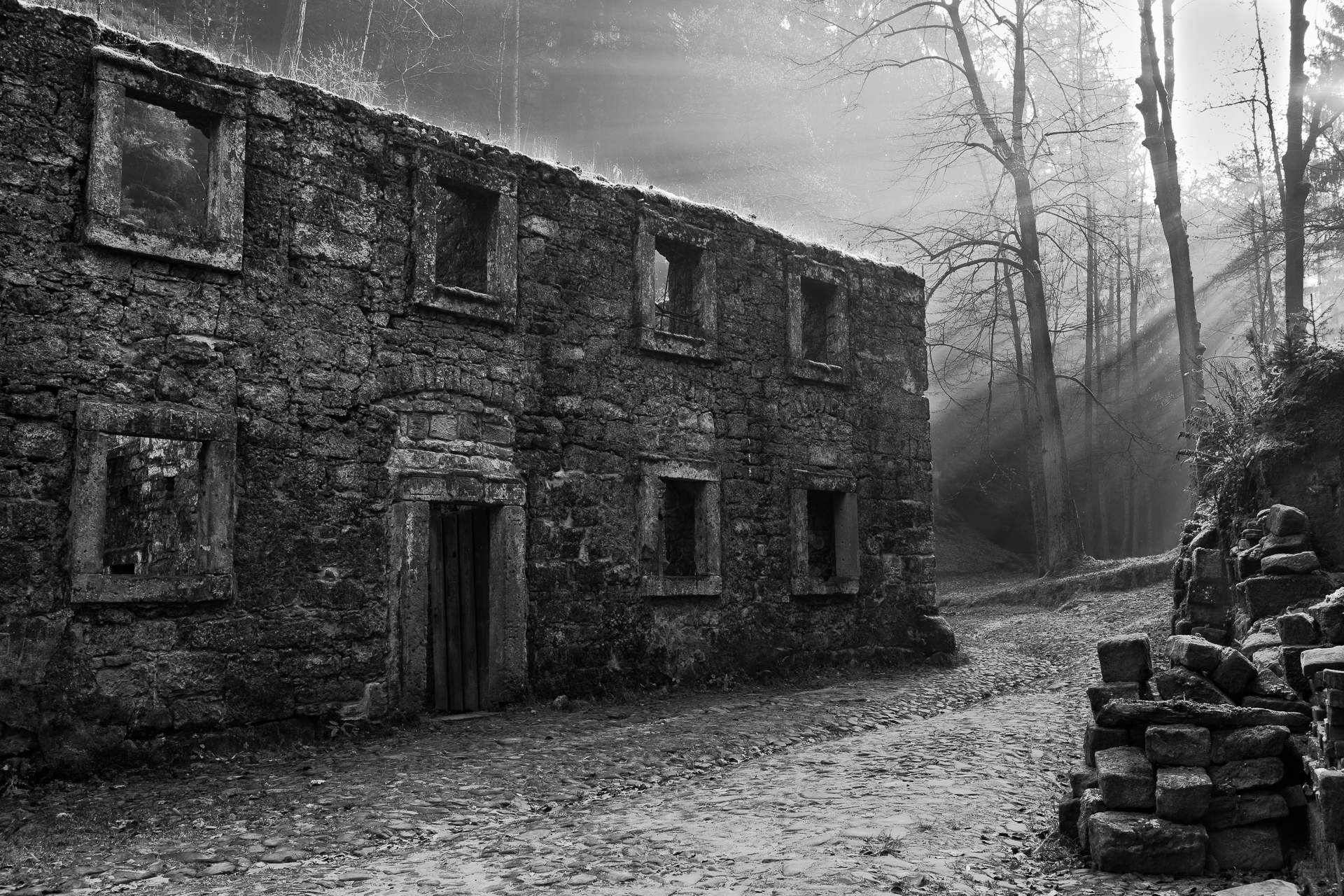 General 1920x1280 photography monochrome old building sun rays abandoned bricks trees plants door path