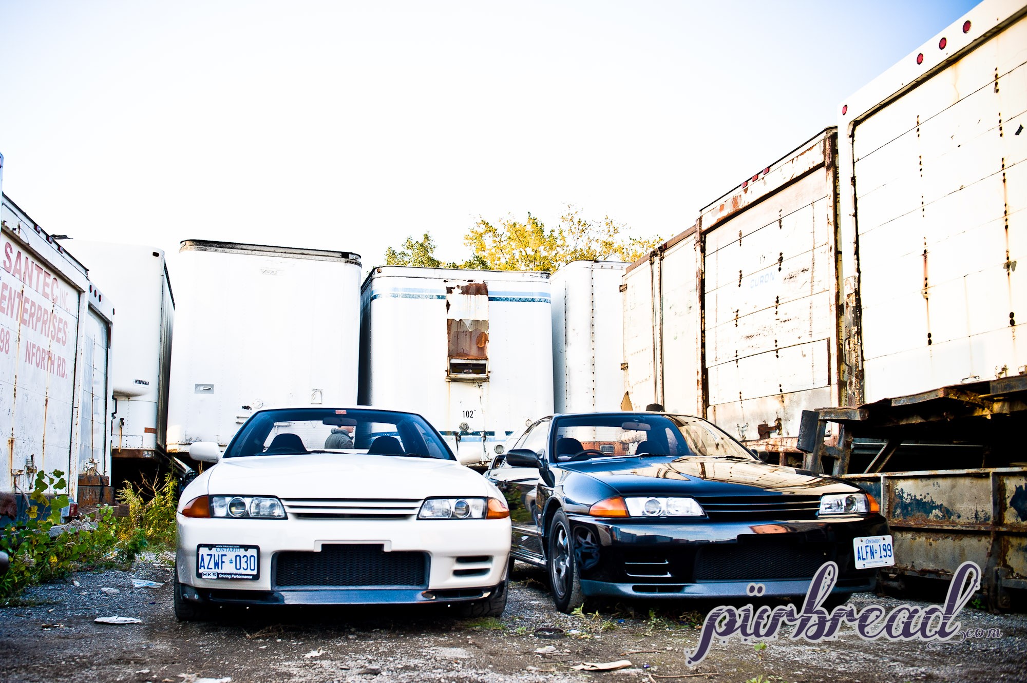 General 2000x1331 car vehicle Nissan white cars black cars Japanese cars frontal view watermarked licence plates Nissan Skyline