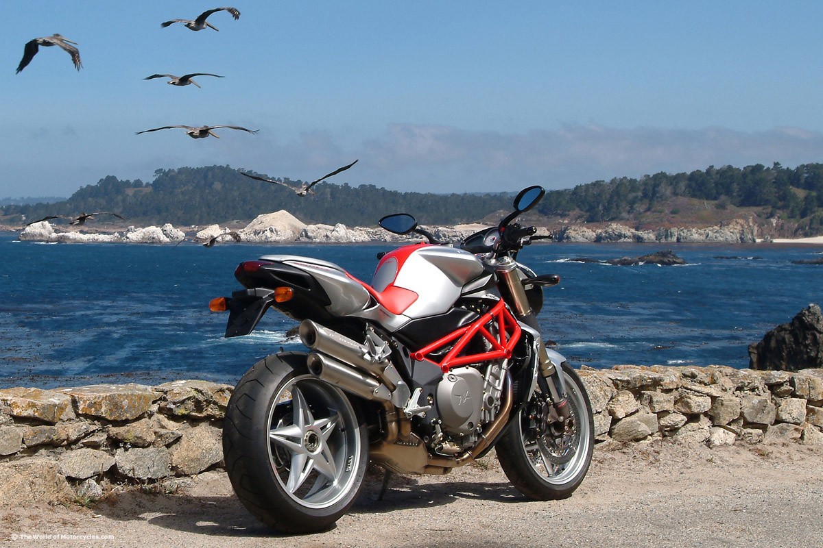 General 1200x800 motorcycle MV agusta vehicle birds sea coast Italian motorcycles