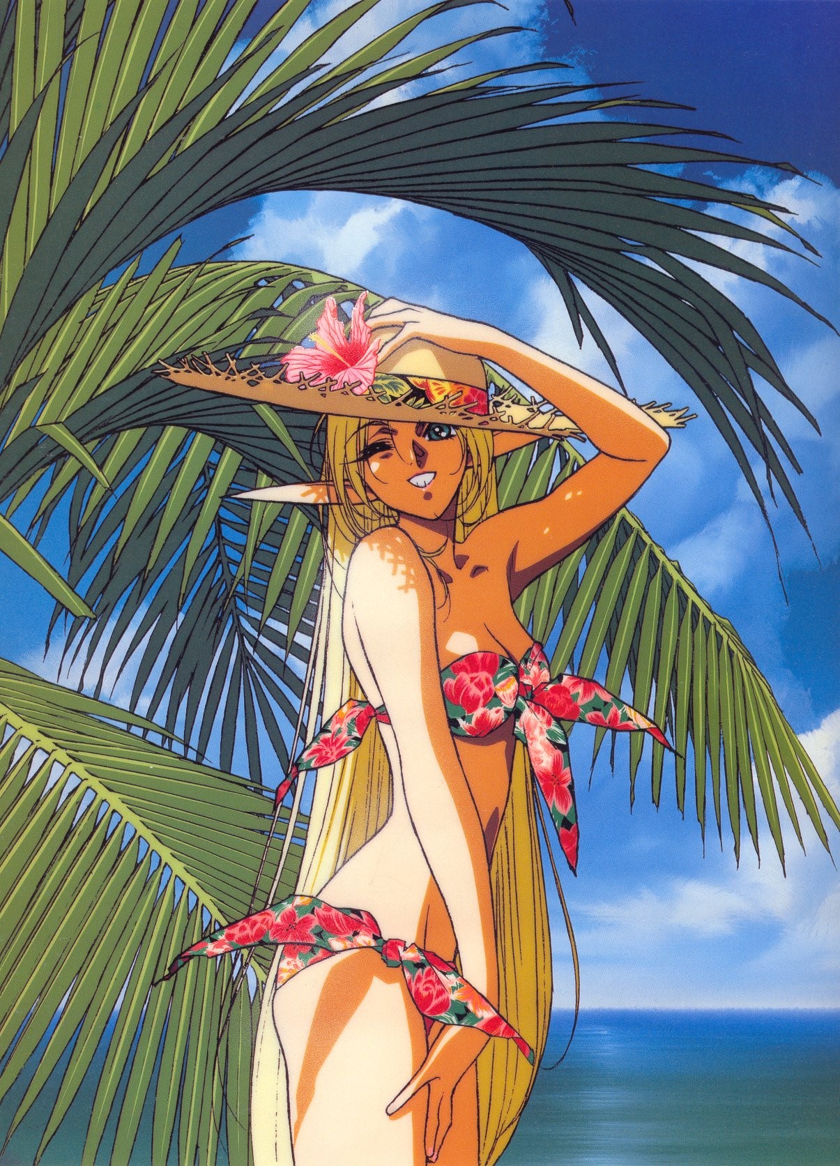 Anime 1205x1672 anime Record of Lodoss War anime girls hat palm trees women with hats bikini swimwear pointy ears slim body Deedlit