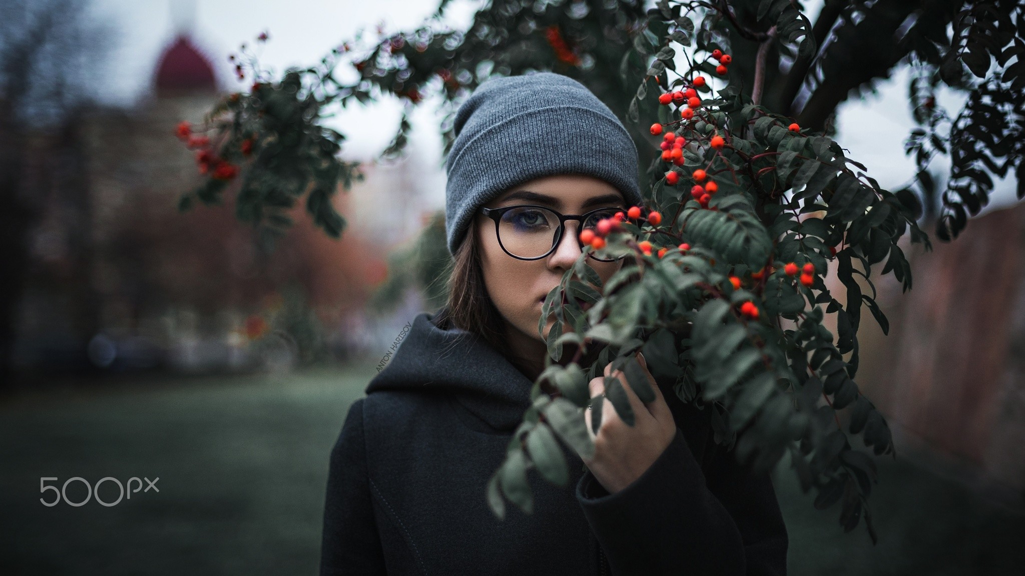 People 2048x1152 women portrait sweater trees depth of field glasses women with glasses 500px Anton Harisov Elena Borisova black coat