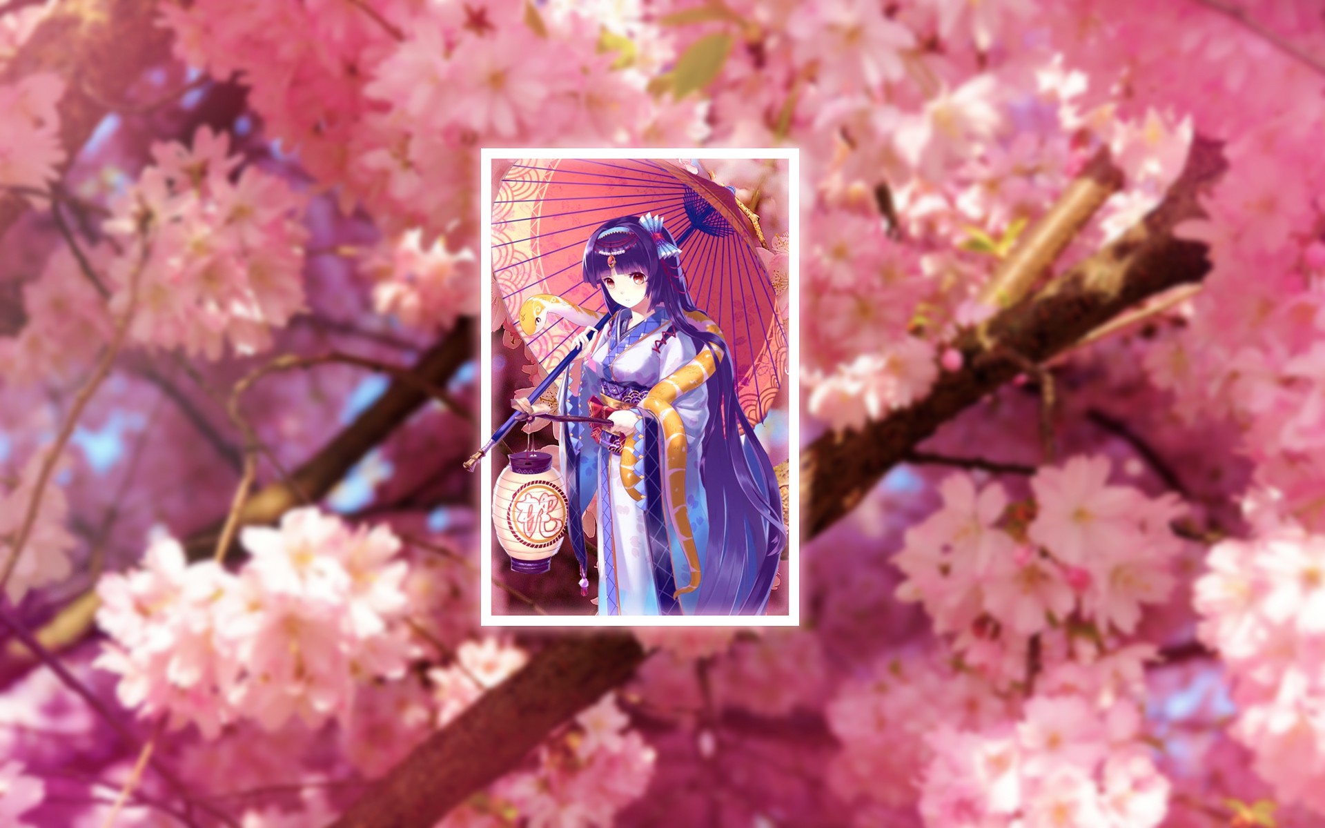 Anime 1920x1200 anime flowers cherry blossom plants anime girls fantasy girl umbrella lantern women long hair purple hair