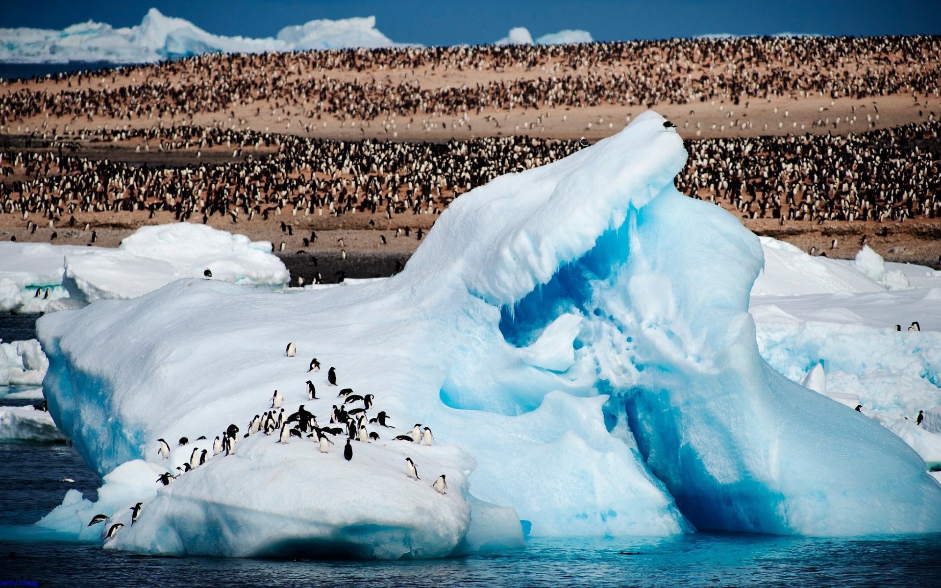 General 1920x1200 JenFu Cheng Arctic penguins animals 500px nature sea iceberg