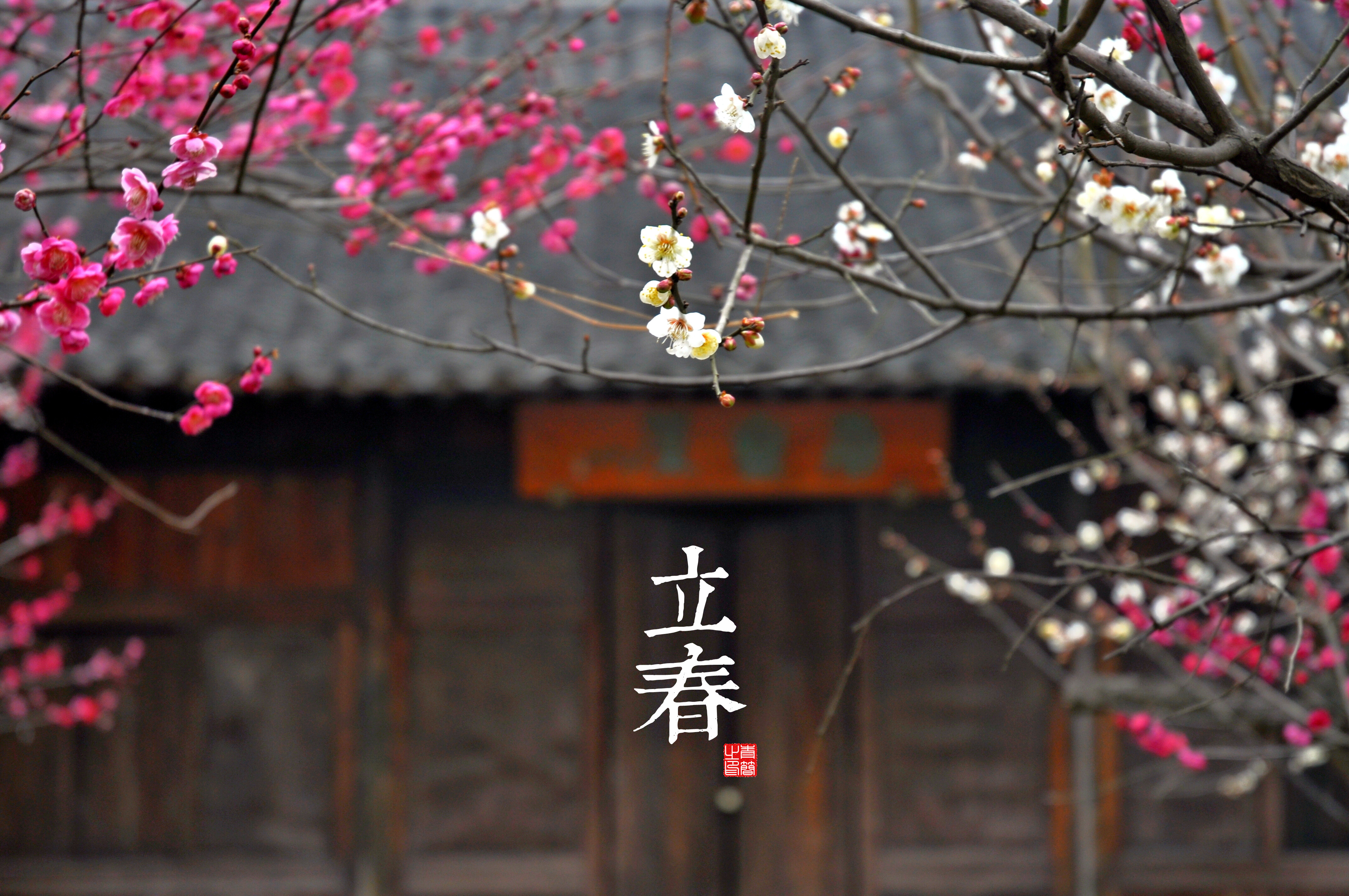 General 4288x2848 depth of field blossoms kanji Chinese jieqi Chinese tradition