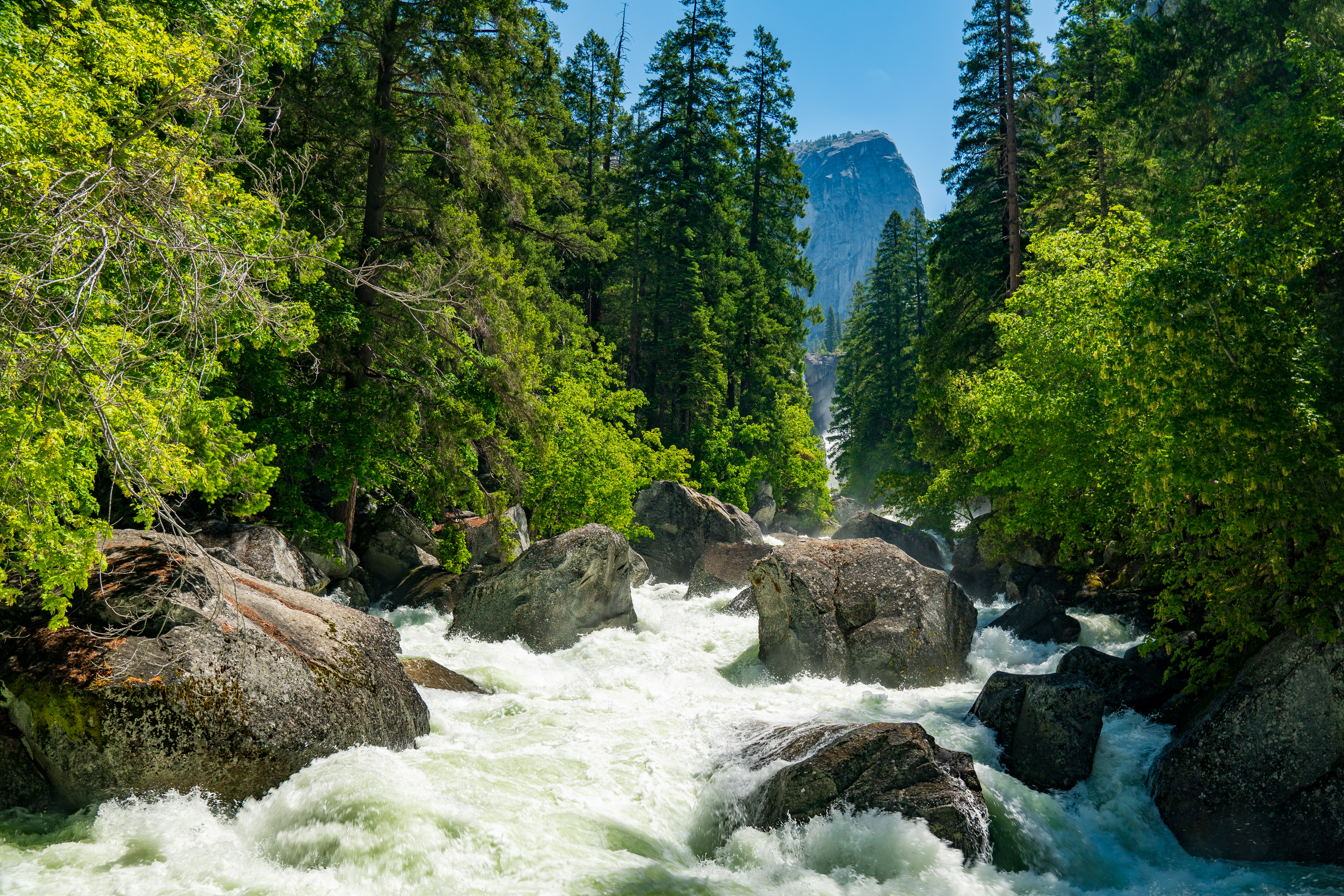 General 5607x3738 Yosemite National Park Yosemite Valley Yosemite Falls waterfall river forest California North America water nature trees rocks