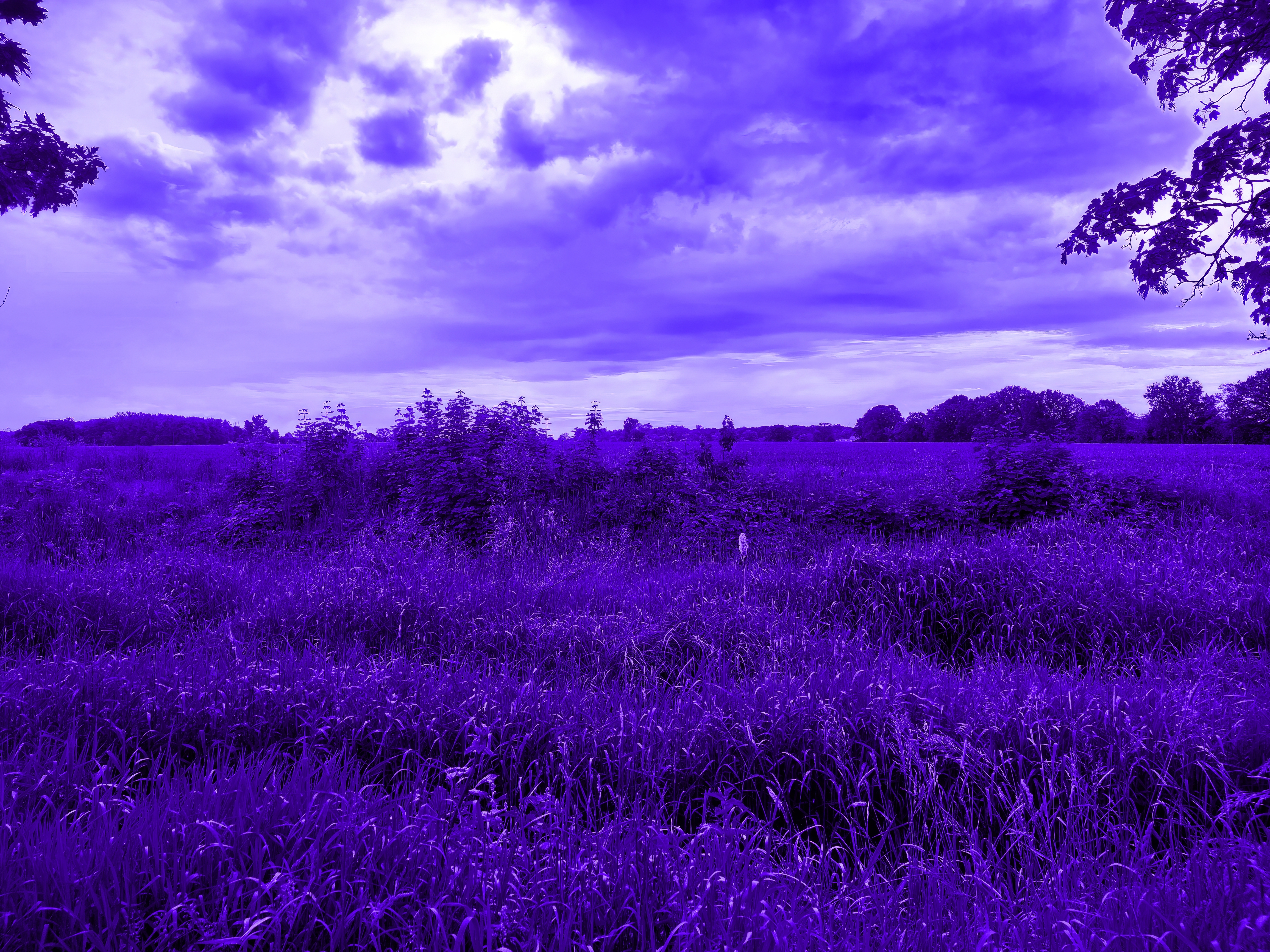 General 4624x3468 blue purple sky clouds grass surreal scenery